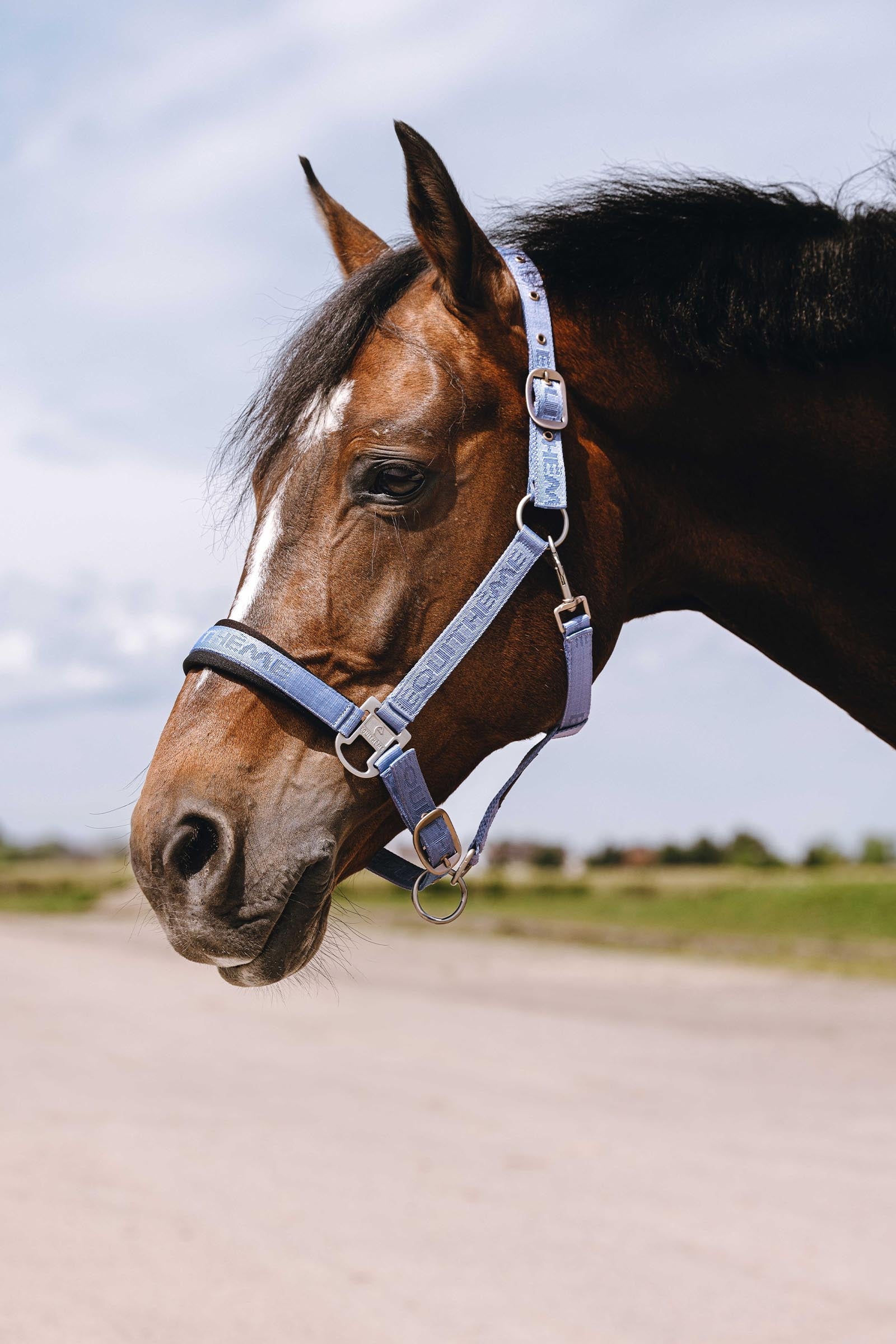 EQUITHÈME Jacquard Nylon Halter Halters & Leads