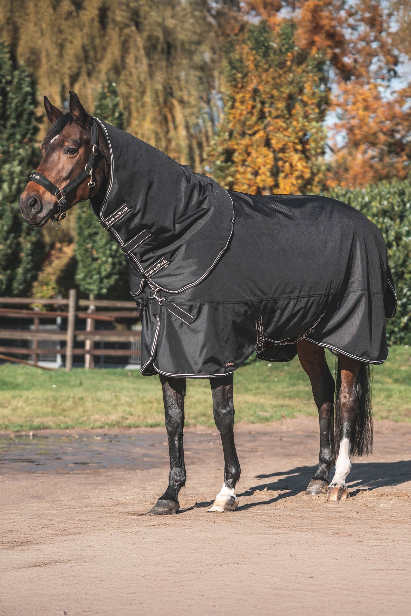 Back on Track Obsidian Weidedecke mit abnehmbarem Halsteil, 150g Pferdedecken