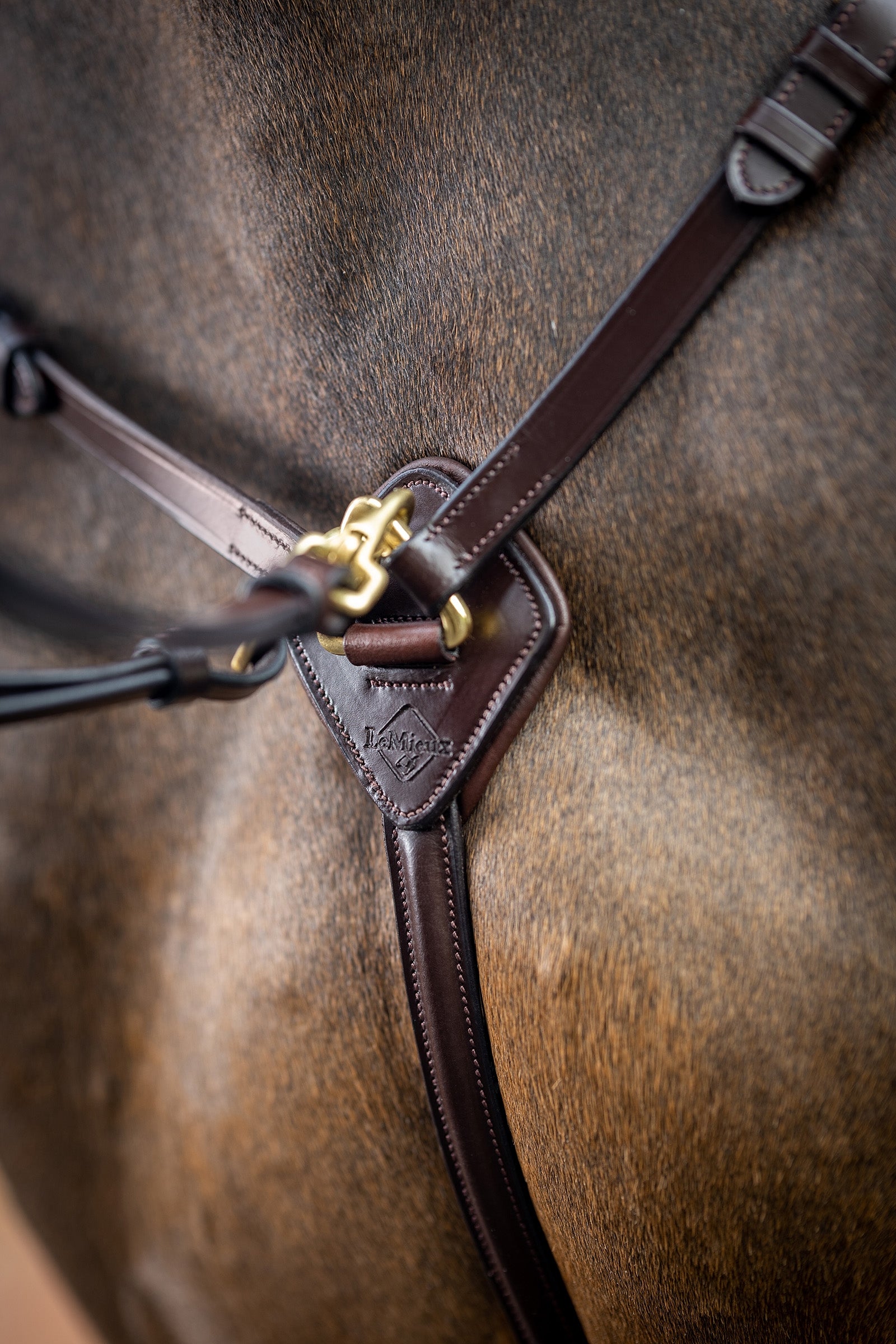 LeMieux Breastplate With Detachable Martingale Bridles & Reins