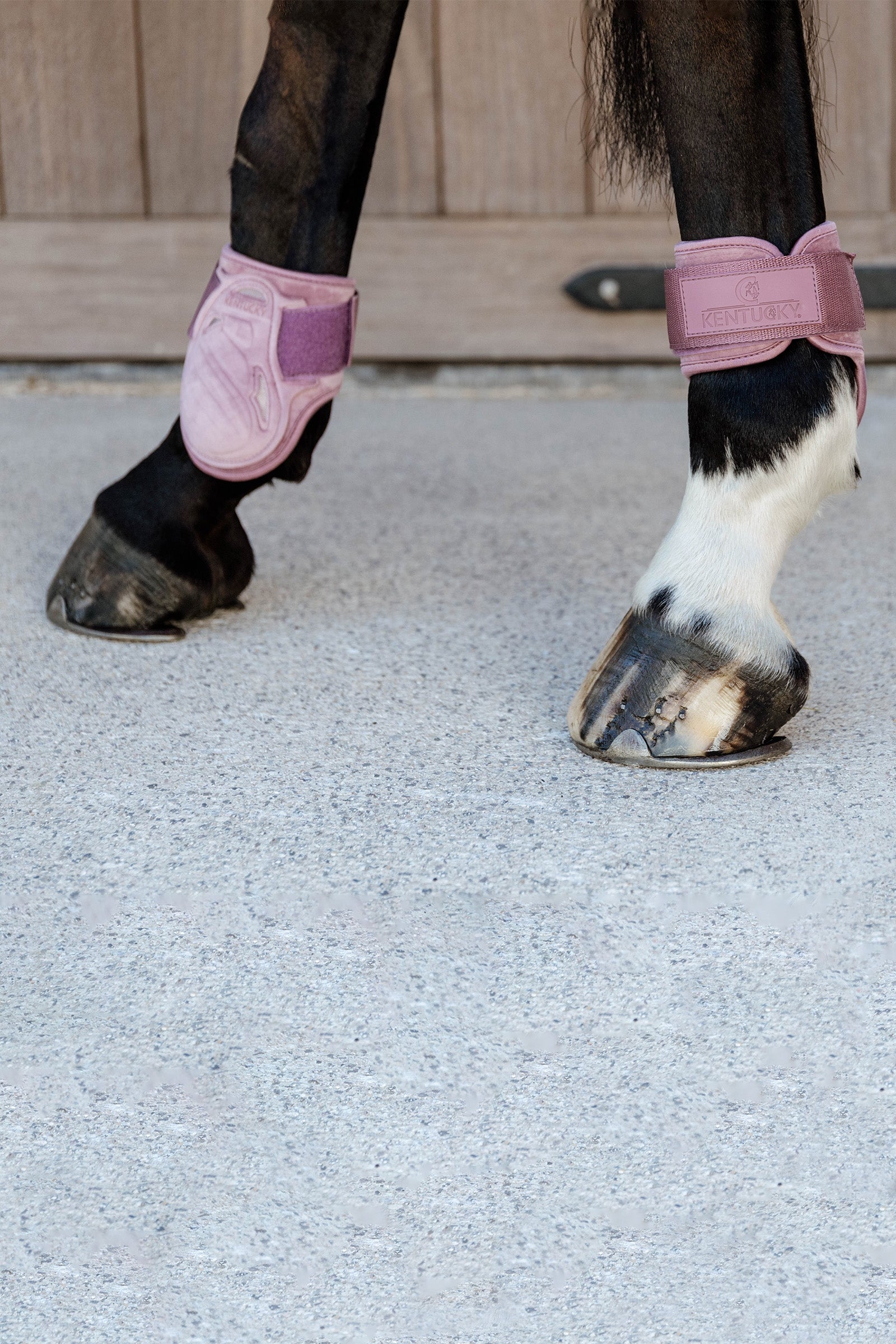 Kentucky Horsewear Velvet Young Horse Fetlock Boots Leg Protection & Hoof Protection for Horses