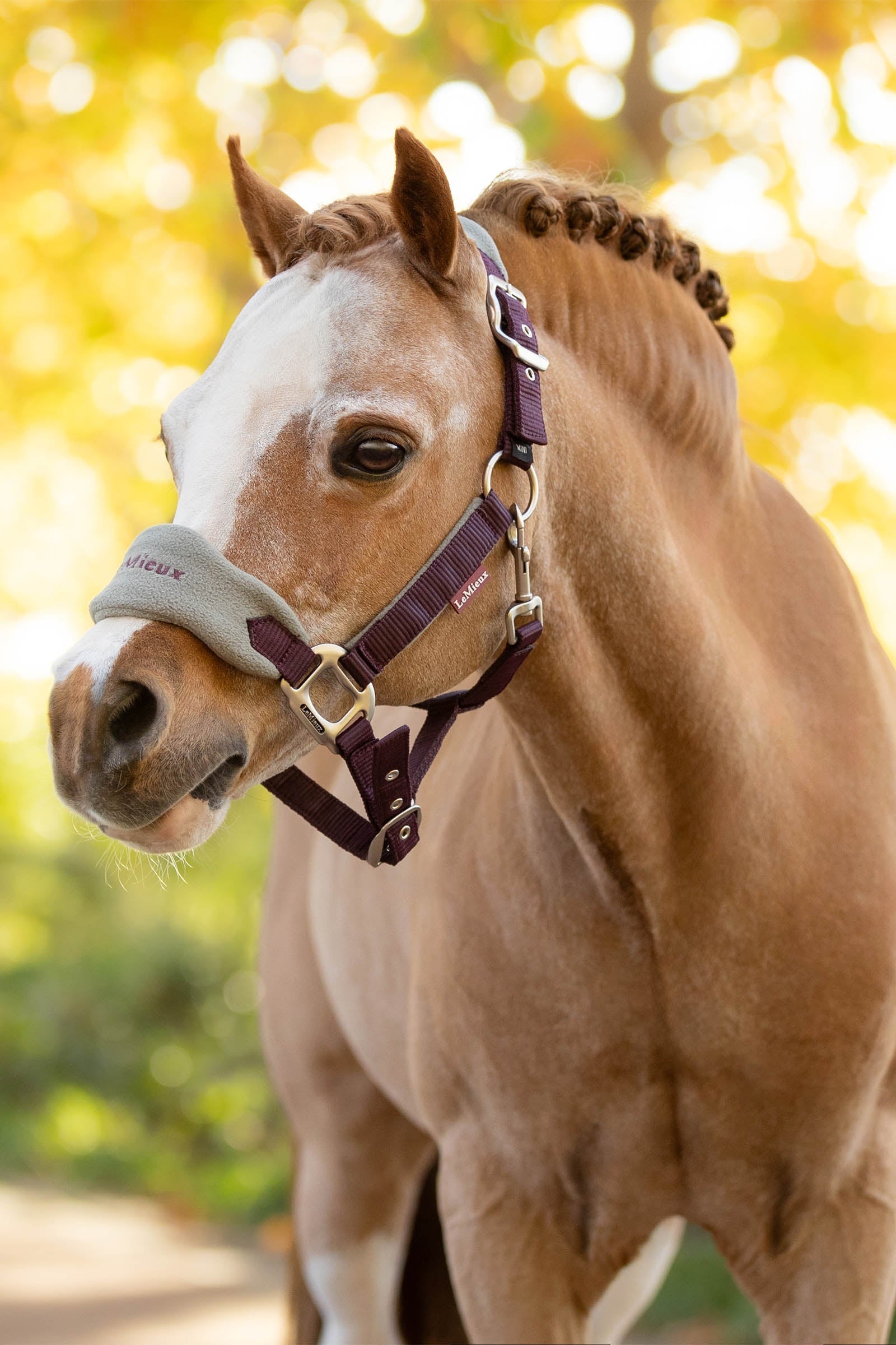 LeMieux Vogue Headcollar & Lead Rope Set Halters & Leads