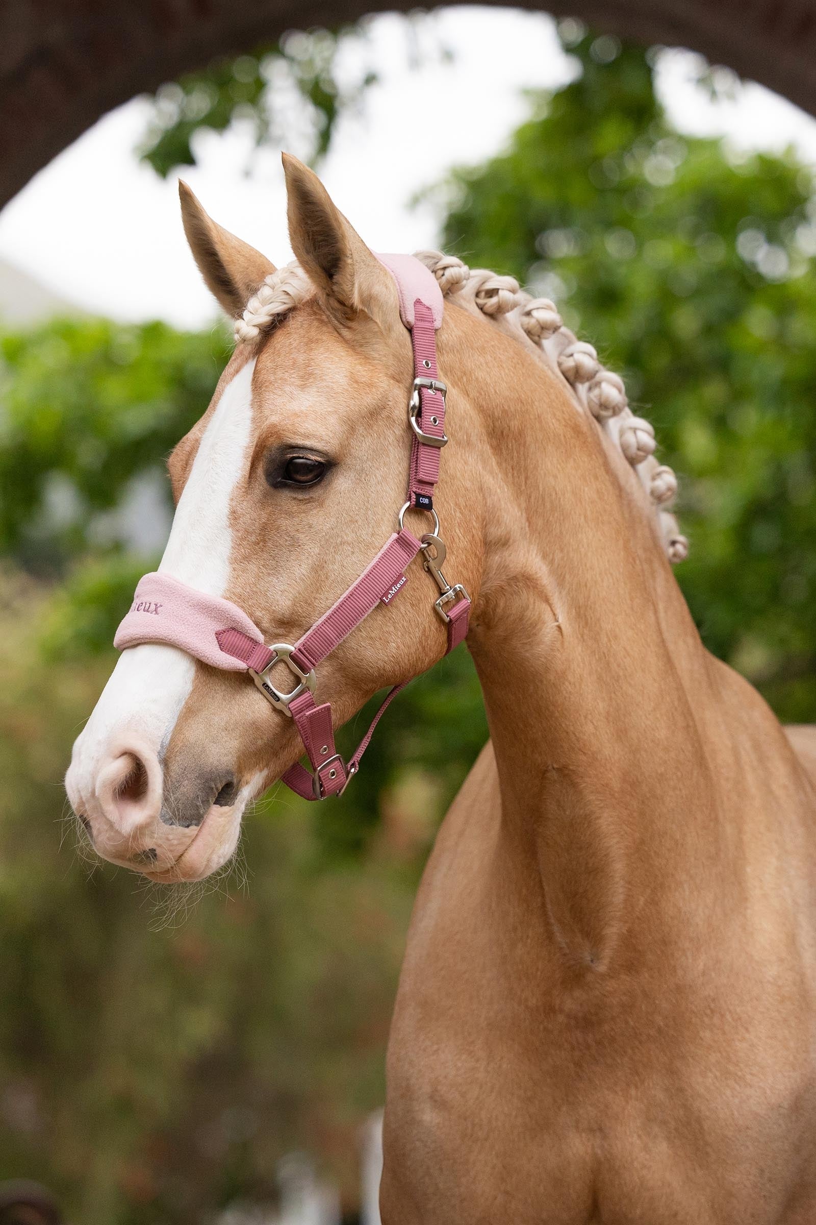 LeMieux Vogue Headcollar & Lead Rope Set Halters & Leads