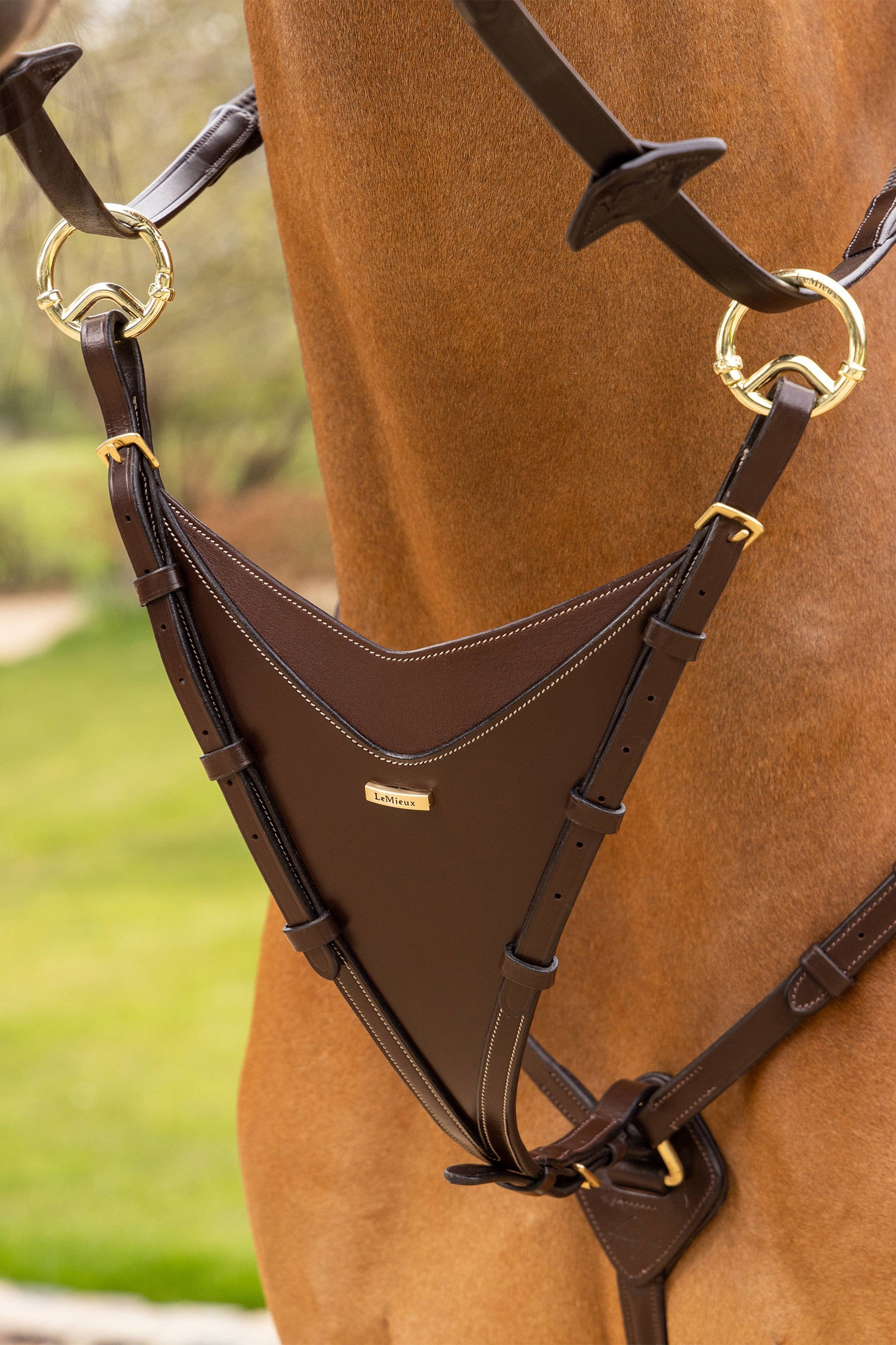 LeMieux Bib Martingale Attachment Bridles & Reins