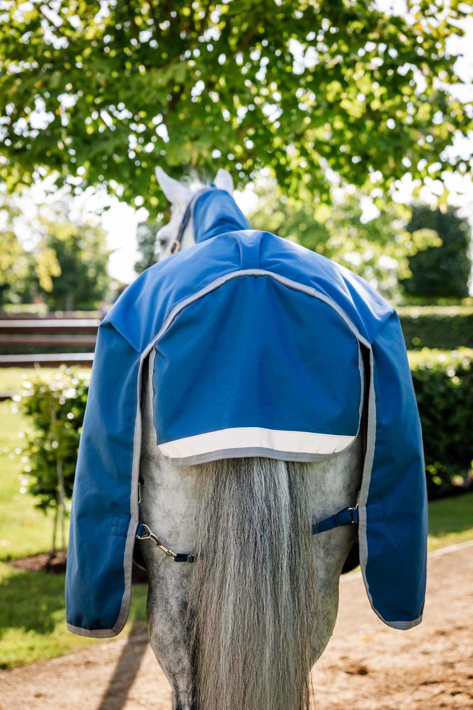 Horseware Ionic Therapy Turnout Rug, 100g Horse Rugs