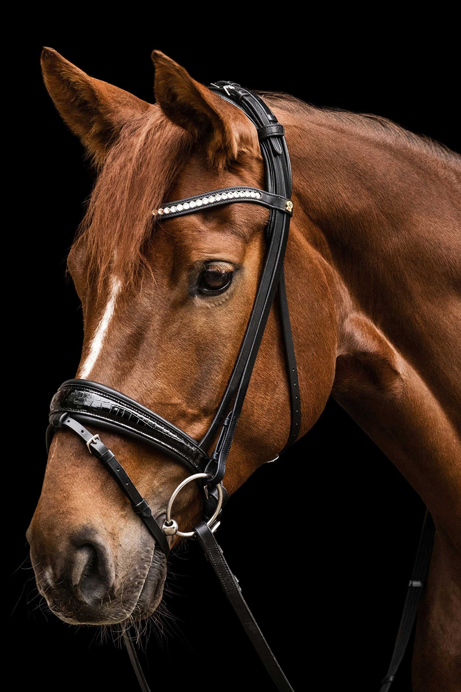 Waldhausen S-Line Bridle Magic Bridles & Reins