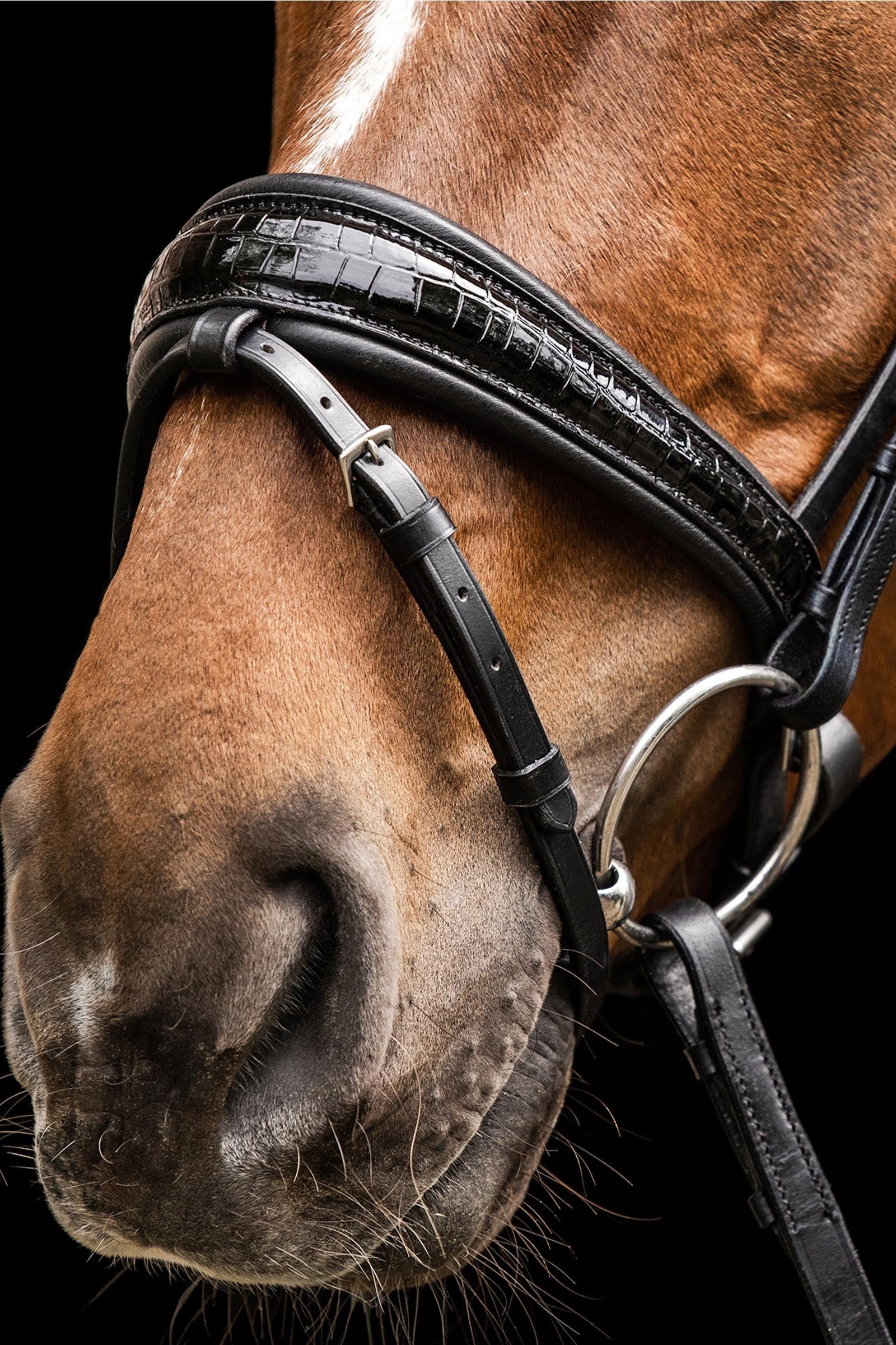 Waldhausen S-Line Bridle Magic Bridles & Reins