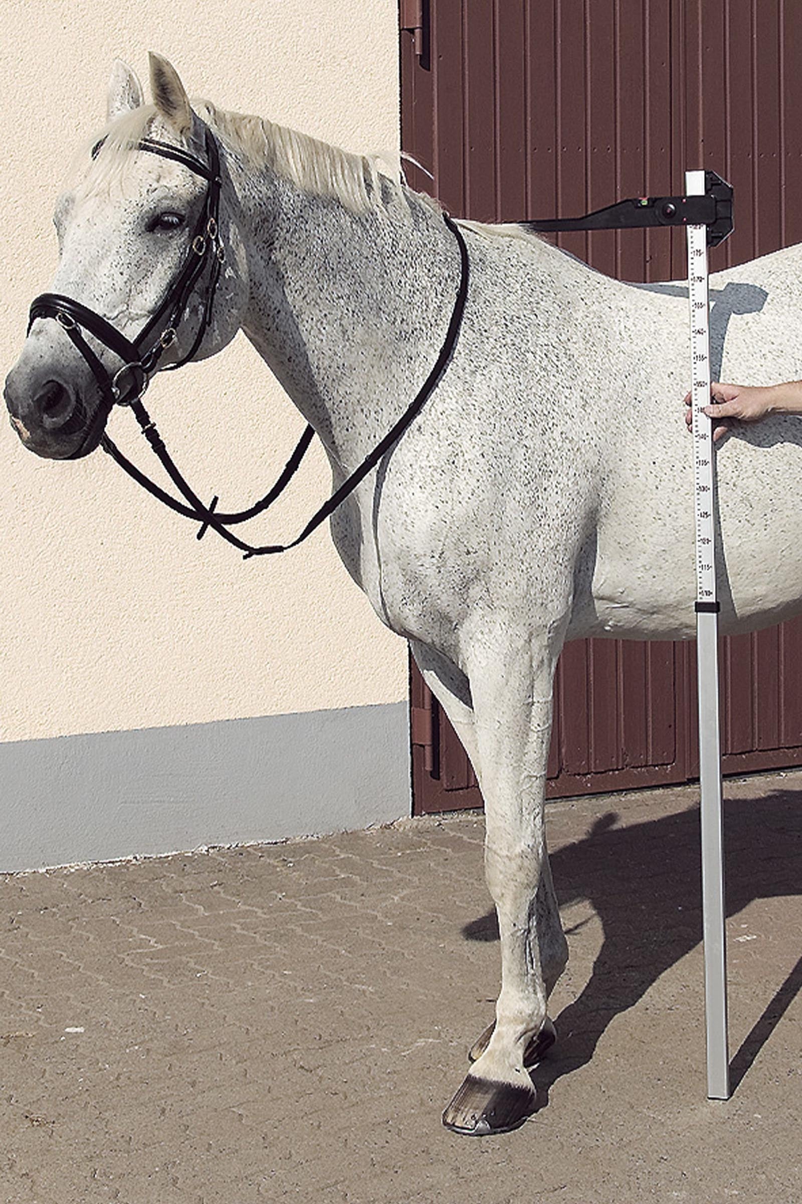 USG DLX Aluminium Measuring Pole Stall-Zubehör