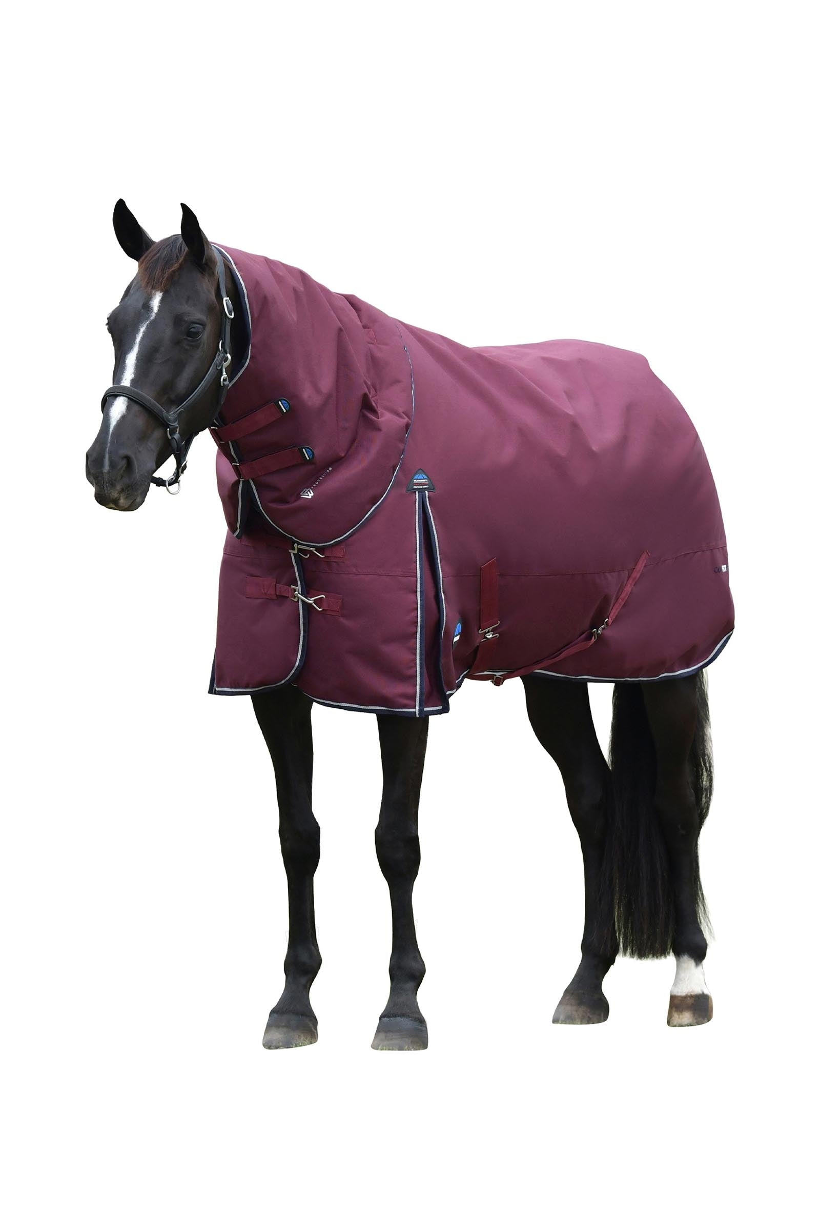 Weatherbeeta ComFiTec Essential Weidedecke mit abnehmbarem Halsteil, 220 g Pferdedecken