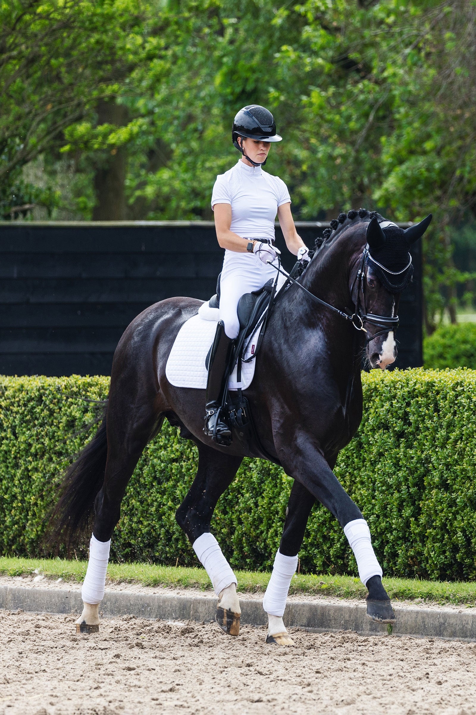 LeMieux Suede Square Dressage Saddle Pad Saddle Pads