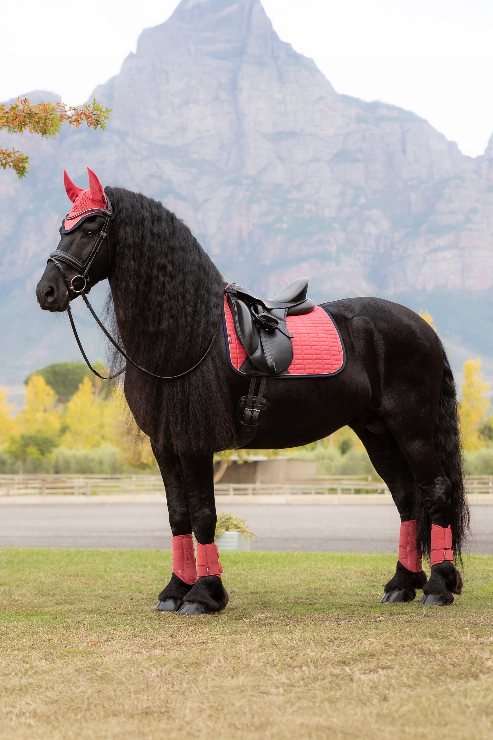 LeMieux Suede Square Dressage Saddle Pad Saddle Pads