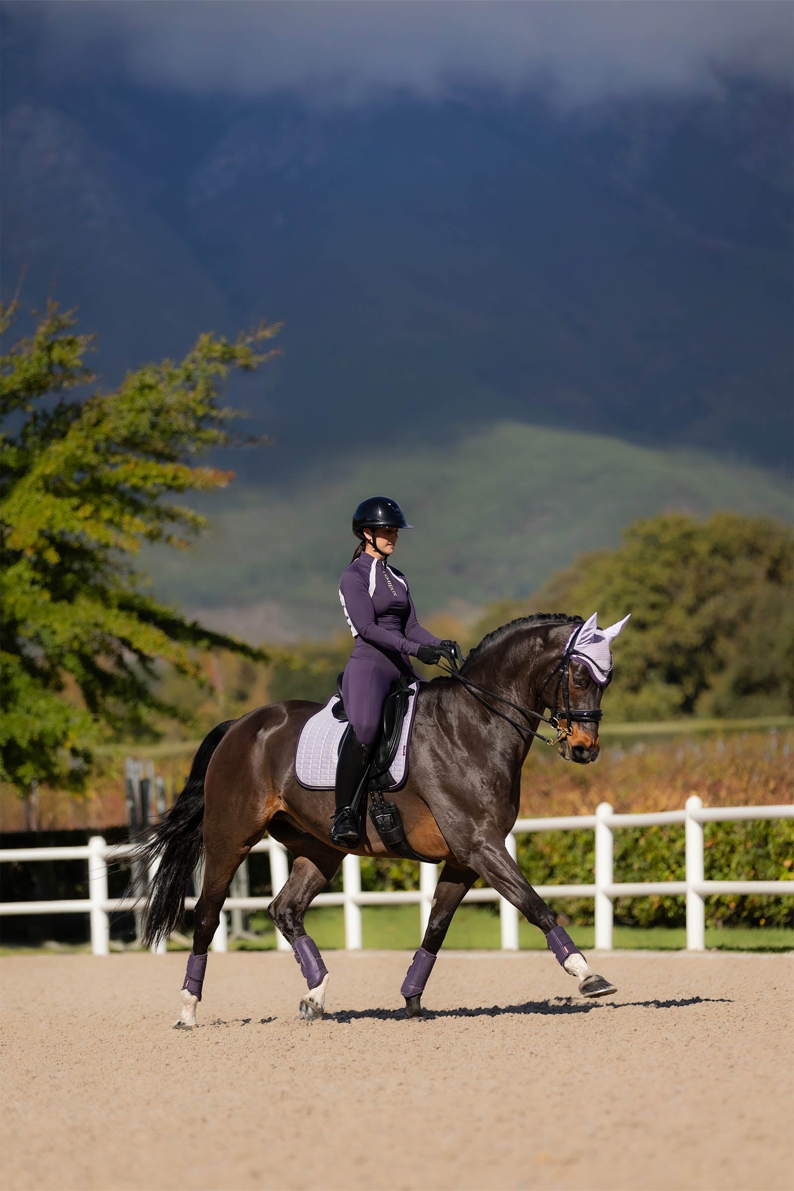 LeMieux Suede Square Dressage Saddle Pad Saddle Pads