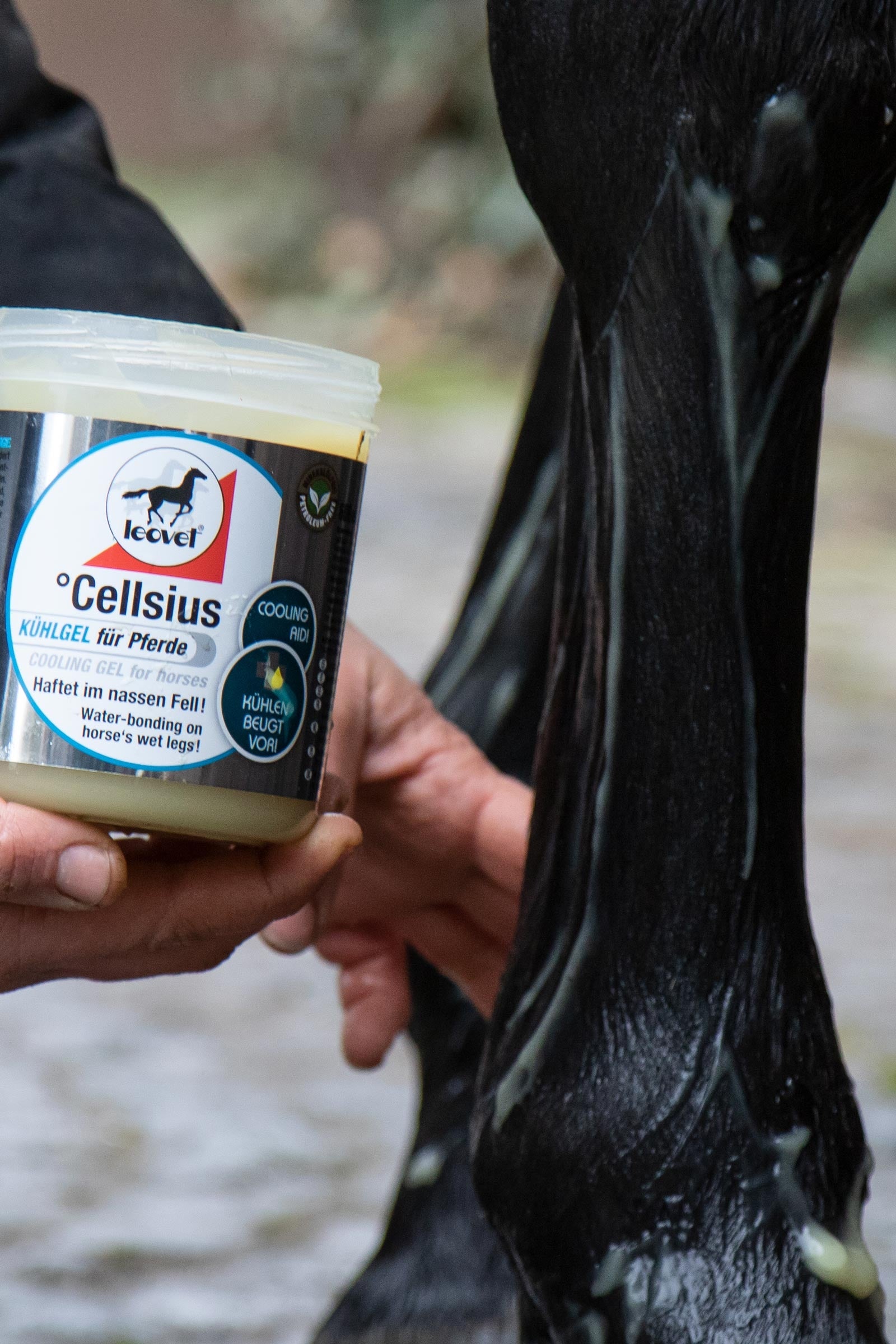 Leovet Cellsius Horse Health Care