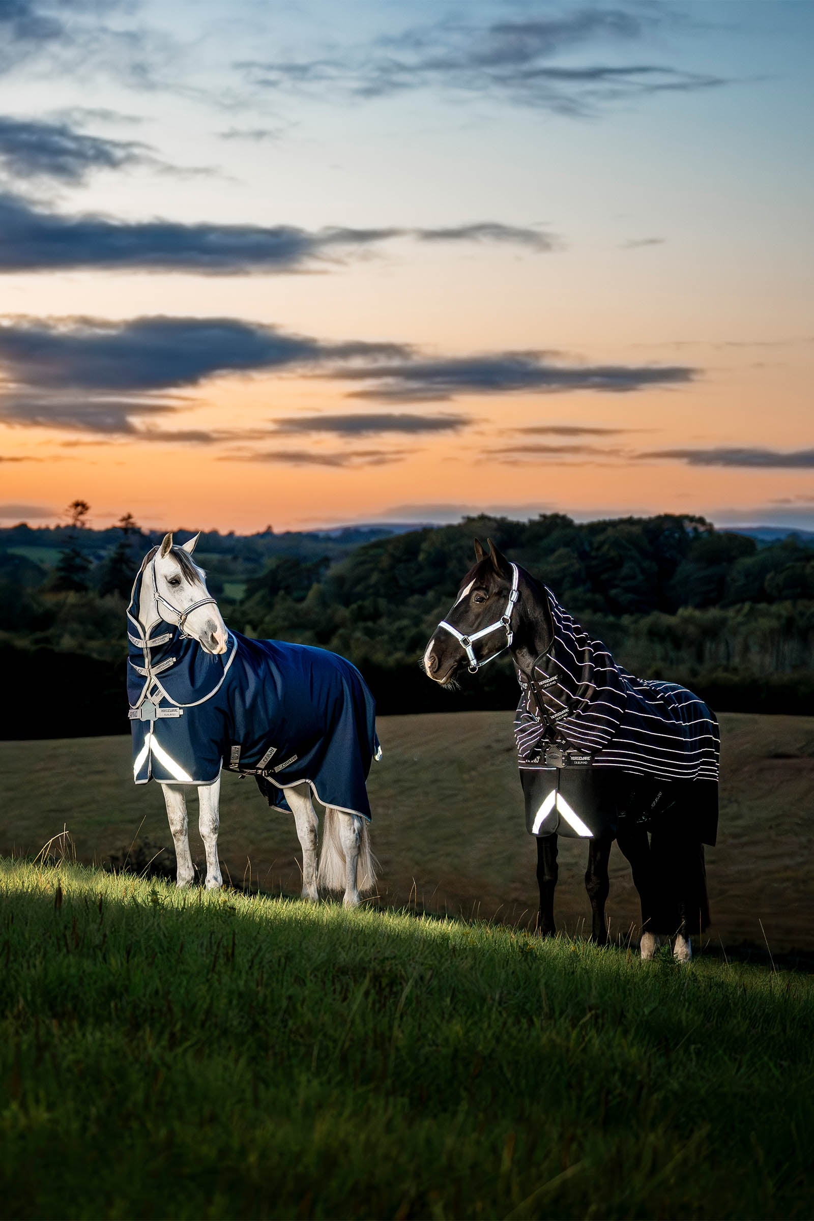 Horseware Amigo 1200D FieldSafe Plus Turnout Rug, 250 g Horse Rugs