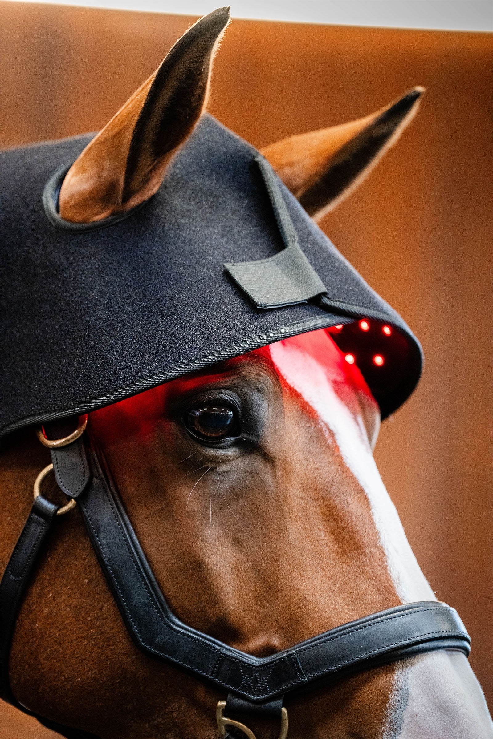 Horseware LED Red Light Therapy Poll Cap Horse Rugs