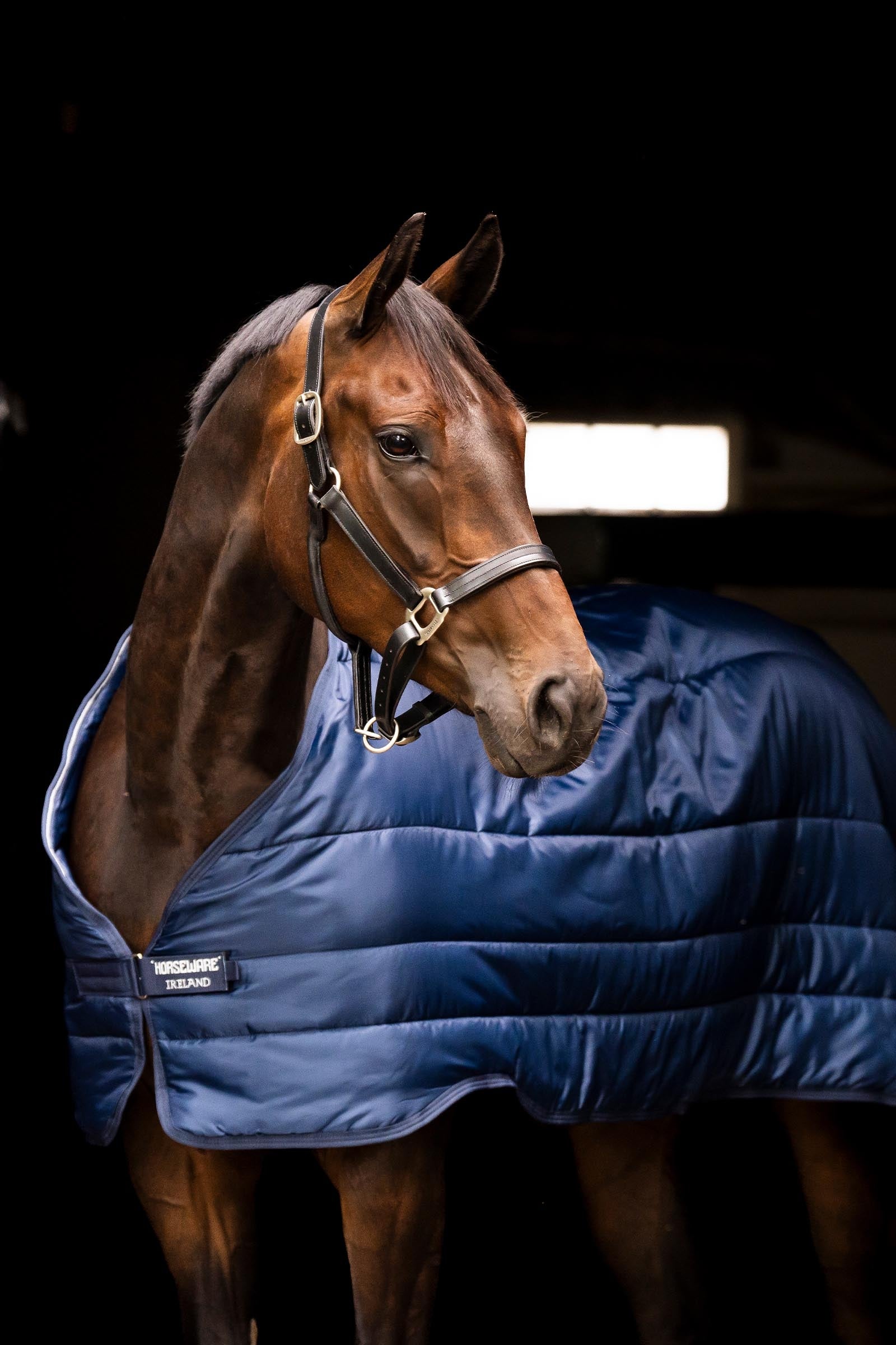 Horseware Liner 400g Horse Rugs