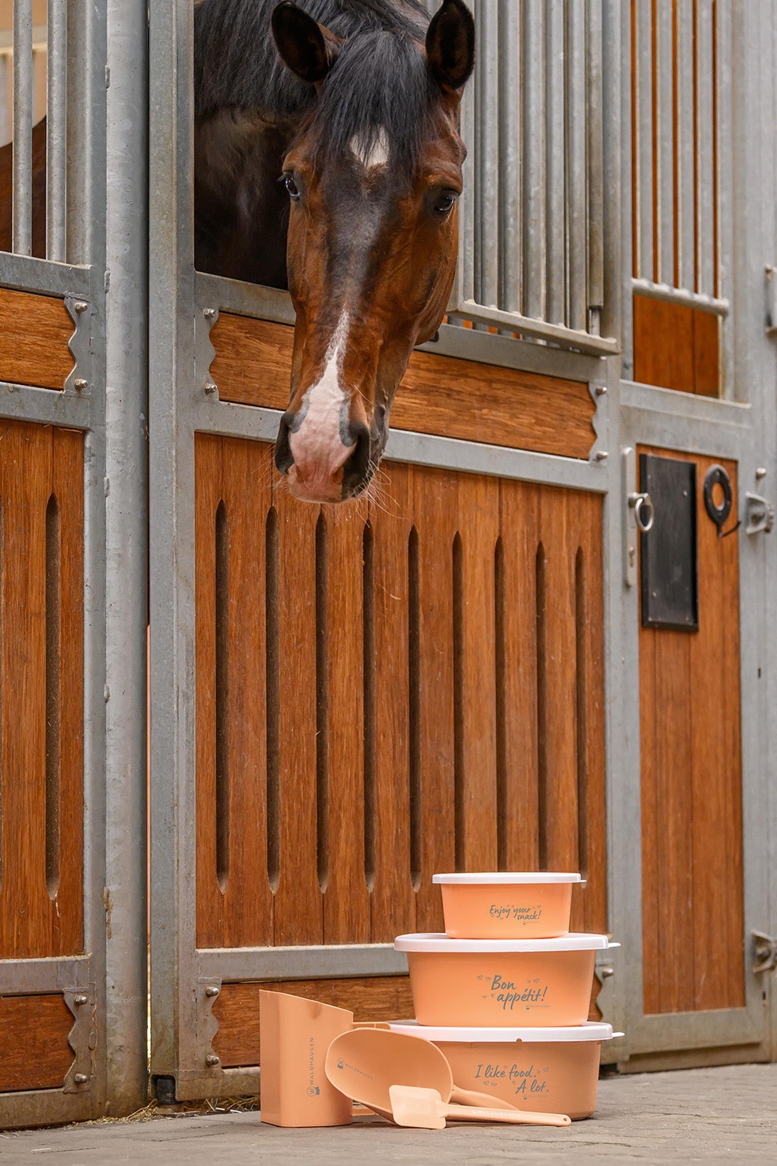 Waldhausen Small Feeding Bowl With Lid Horse Feeders & Waterers