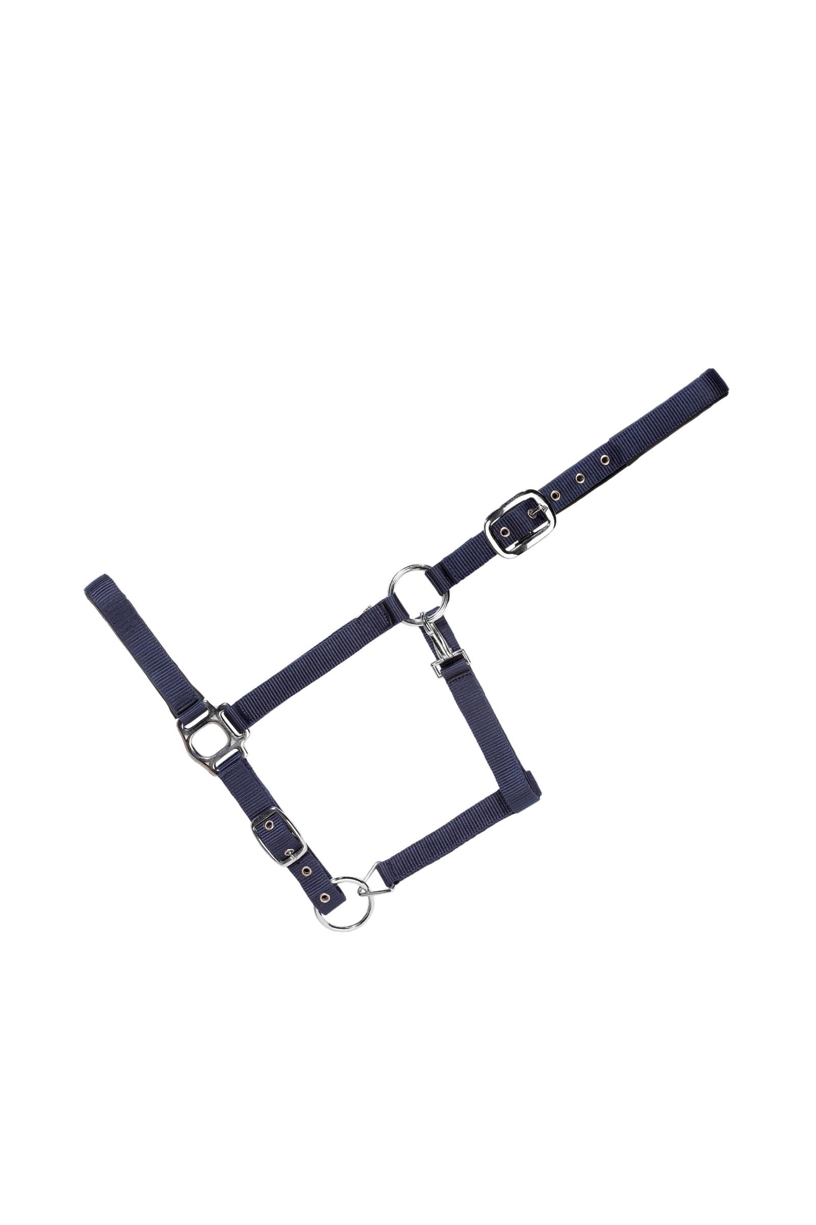 USG Everyday Soft Padded Halter Halfter & Stricke