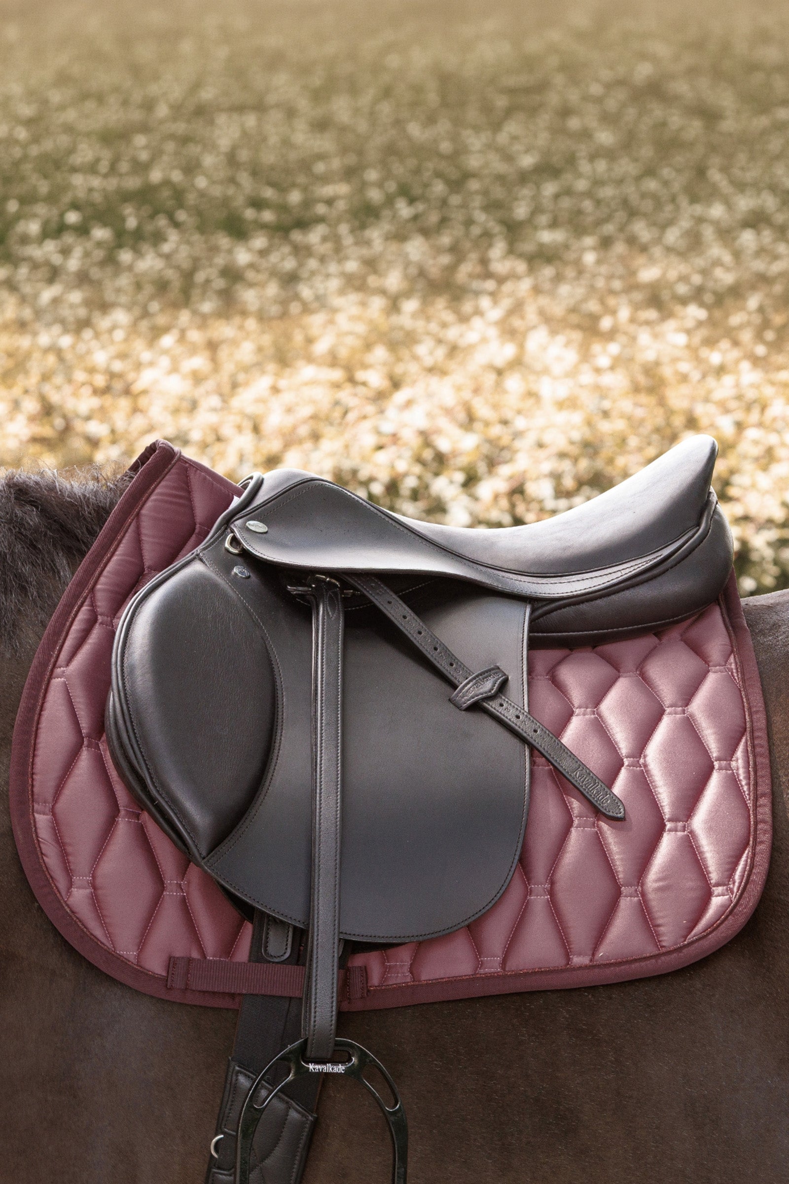Kavalkade Graceful All Purpose Saddlepad Saddle Pads