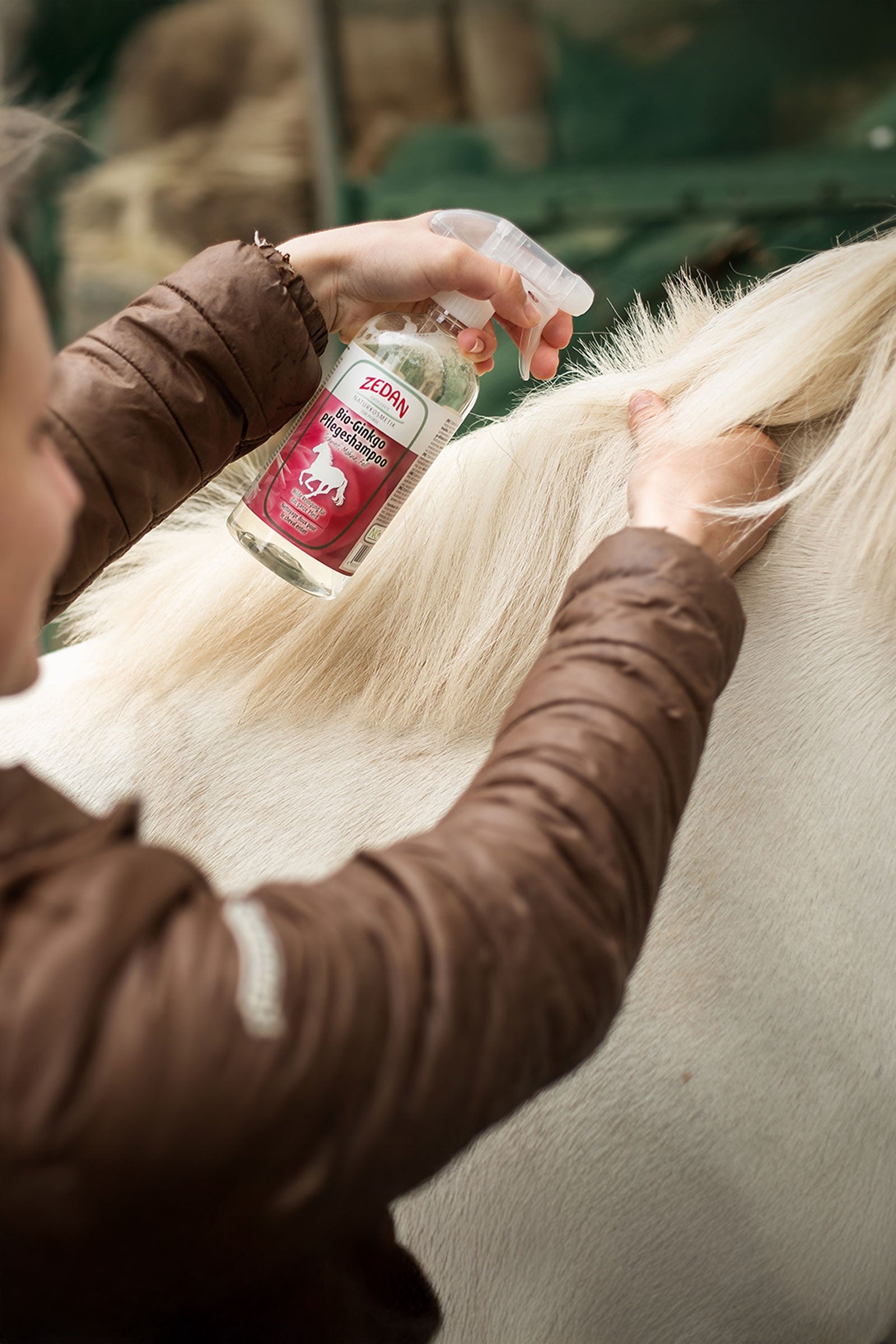 Zedan Bio-Ginkgo Care Shampoo, 500ml Horse Health Care