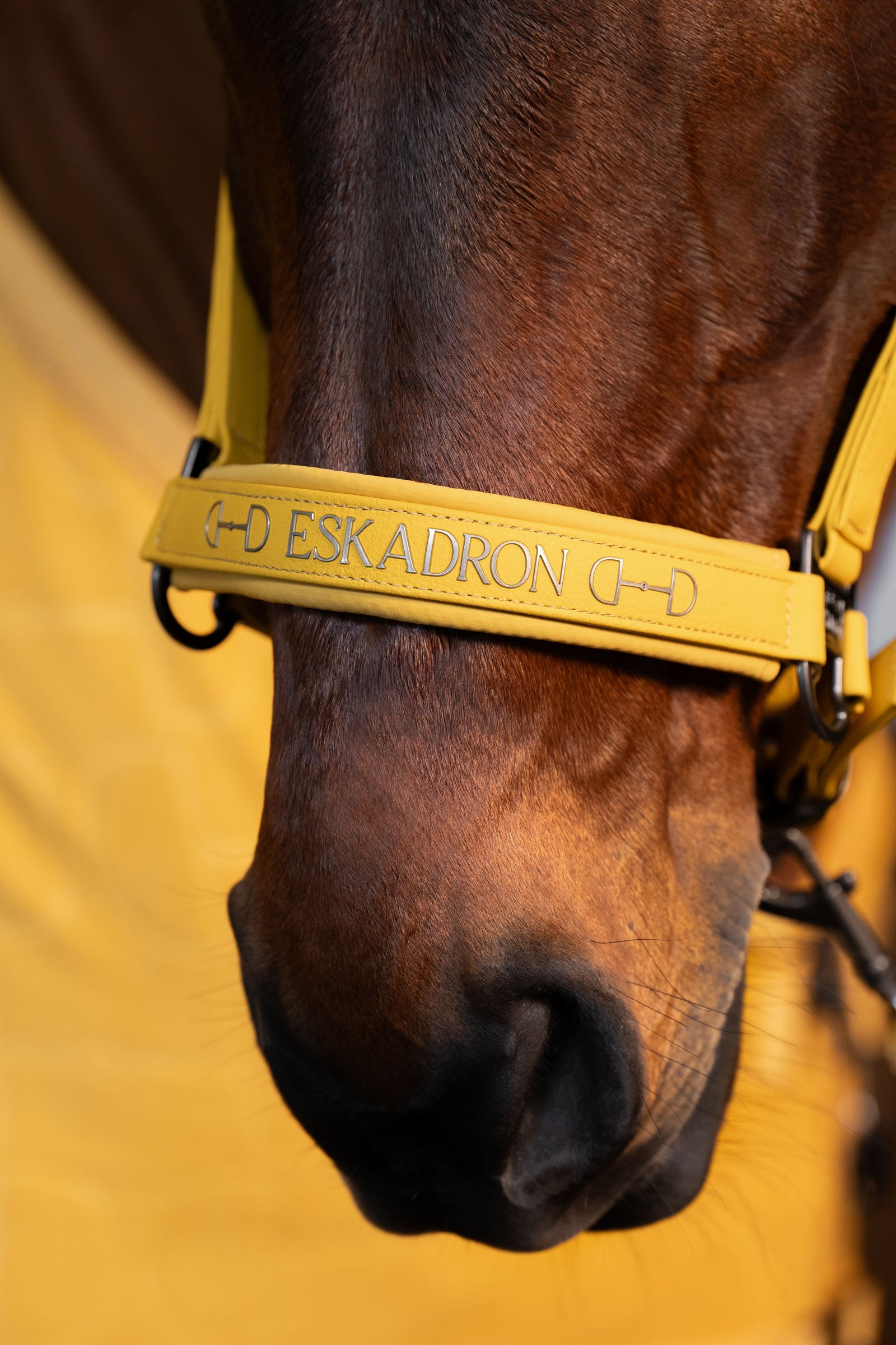 Eskadron Platinum 25 Faux Leather Double Pin Headcollar Halters & Leads