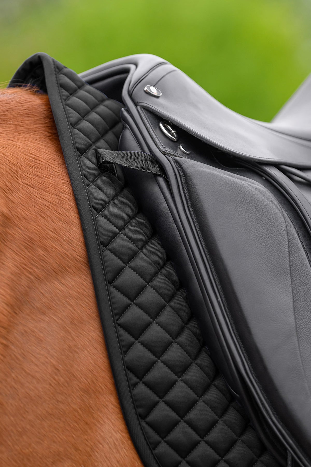 Waldhausen Felix Universal Dressage Saddle Pad Saddle Pads