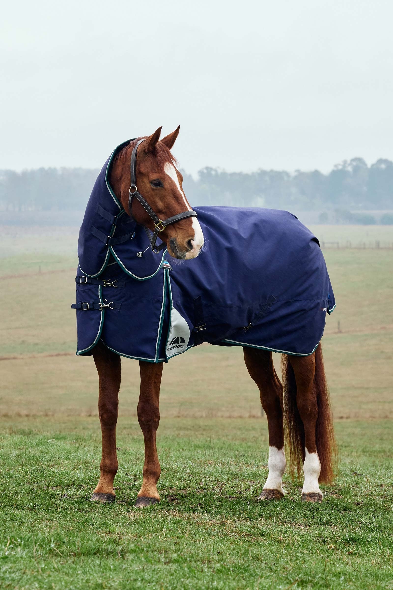 Weatherbeeta ComFiTecPlus Dynamic Turnout Detach-A-Neck 220G Horse Rugs