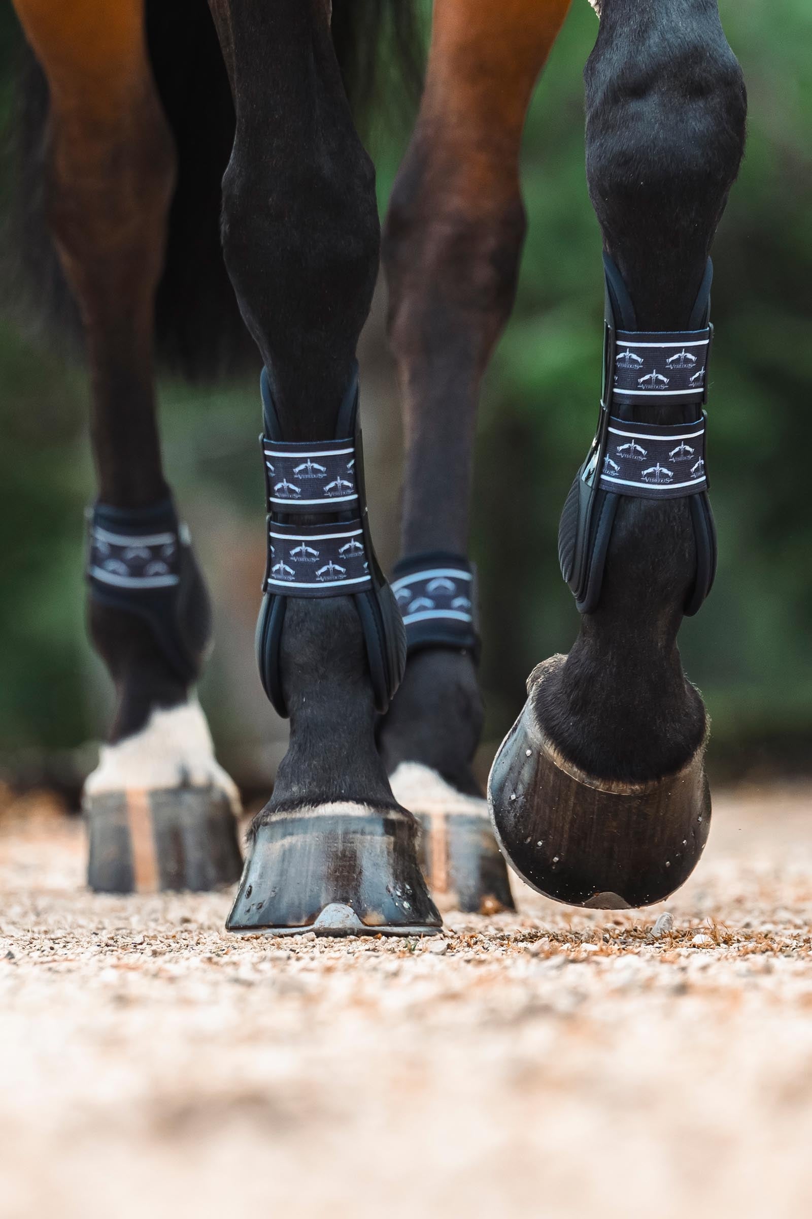 Veredus TRH5 Front Tendon Boots Leg & Hoof Protection