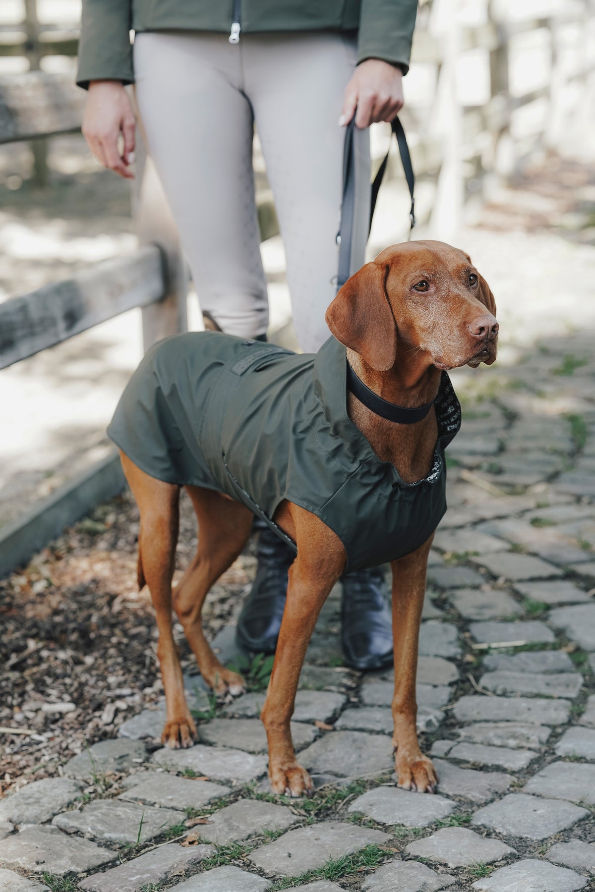 Eskadron Hunter x ESKADRON RAINSHIELD Dog Raincoat Dog Accesories