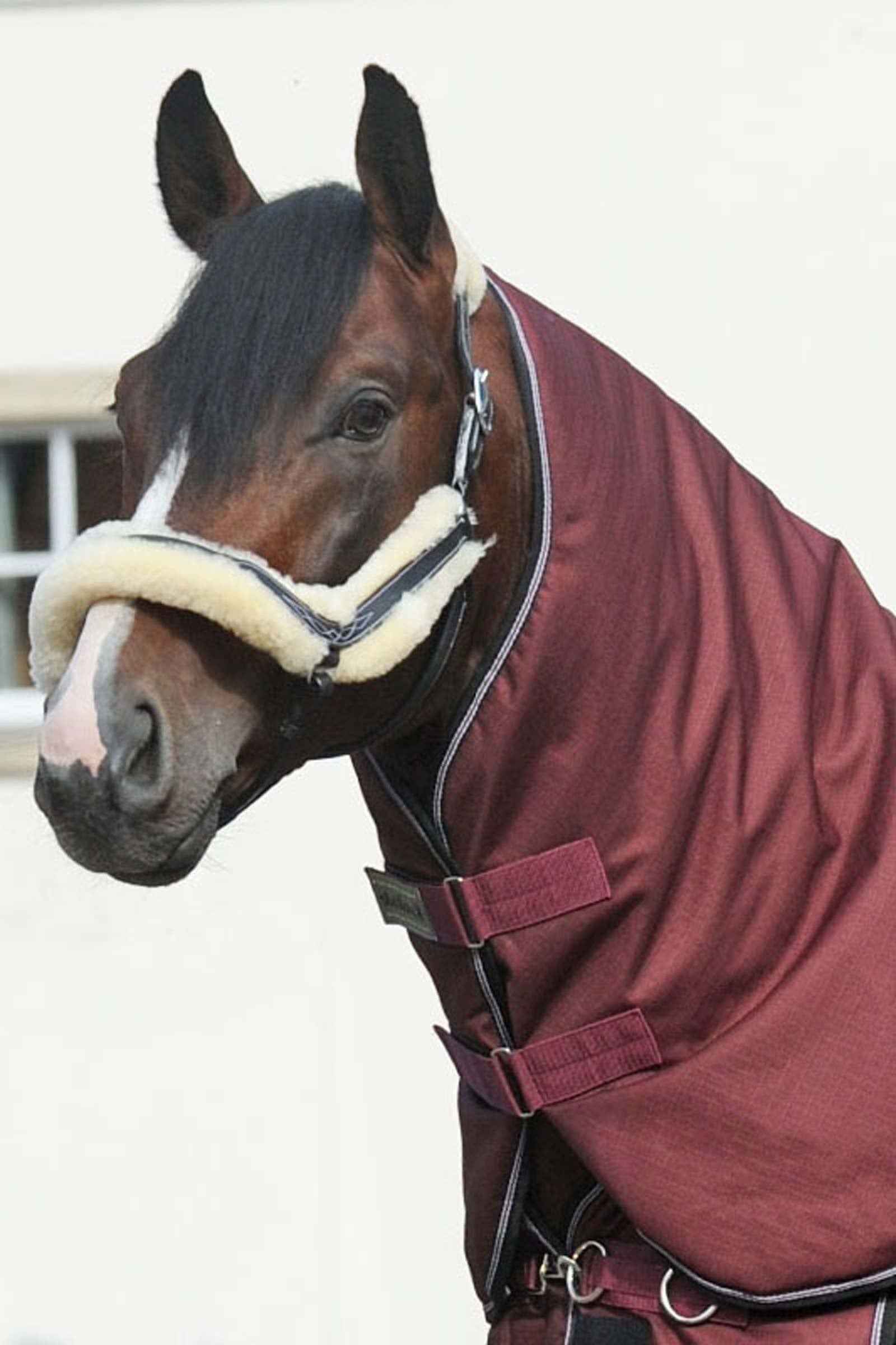 Kavalkade Halsteil für Alaska IV, 100 g Pferdedecken