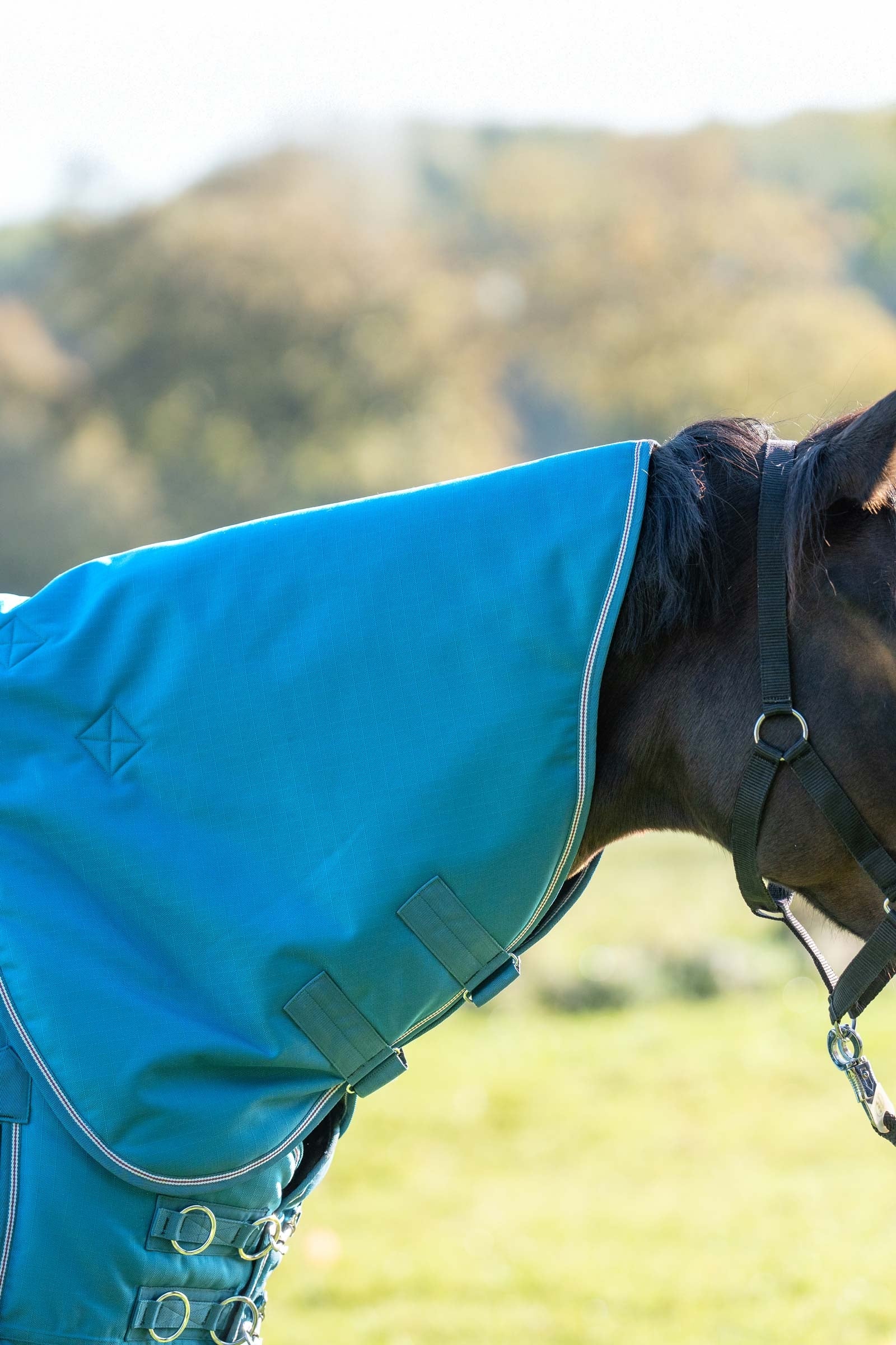 Kavalkade Halsteil für Alaska IV, 100 g Pferdedecken