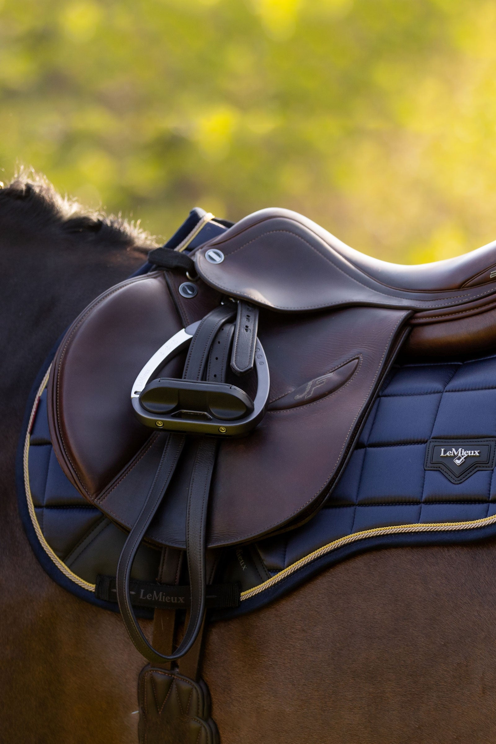 LeMieux Loire Classic Square All Purpose Saddle Pad Saddle Pads