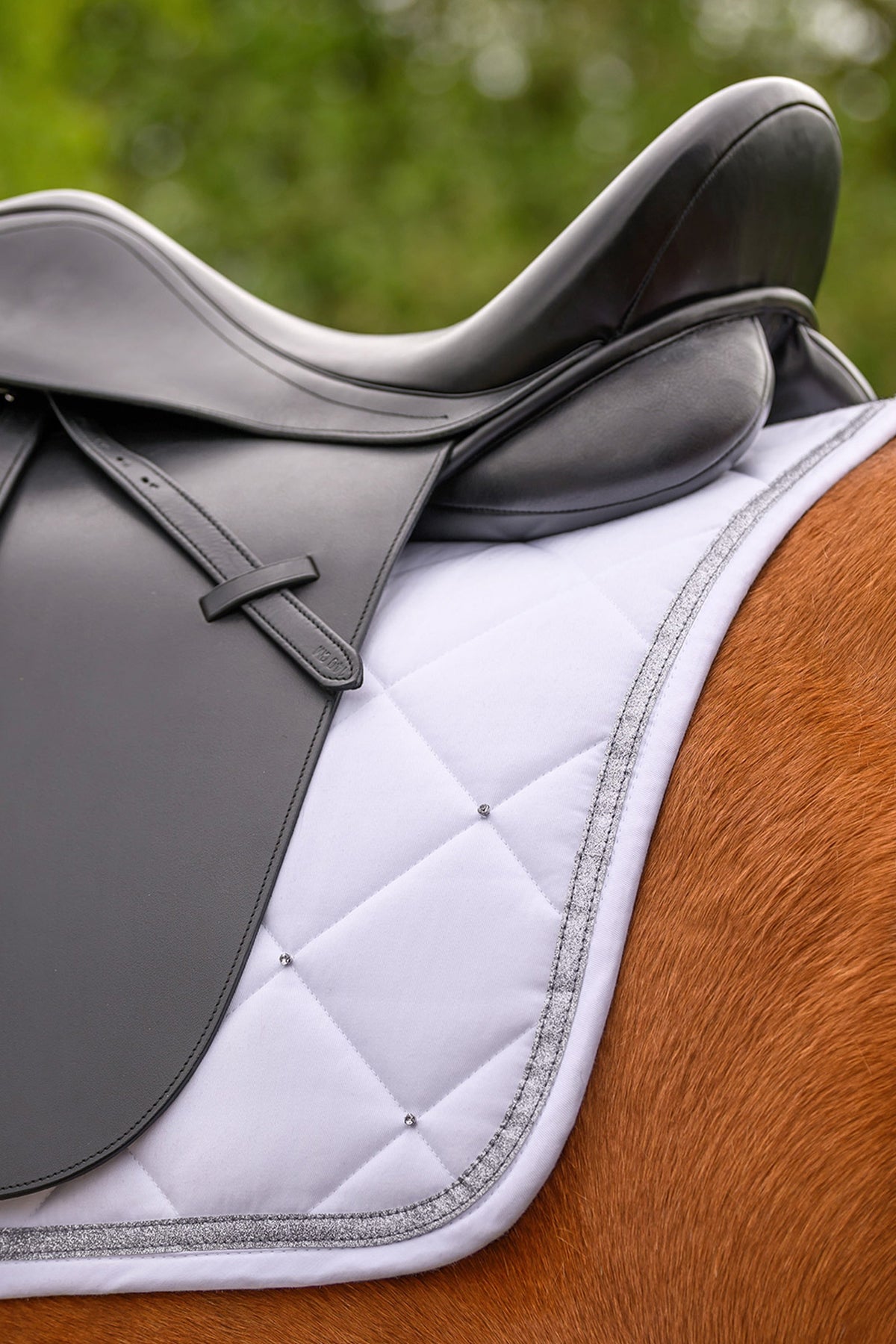 Waldhausen Competition Dressage Pad Saddle Pads
