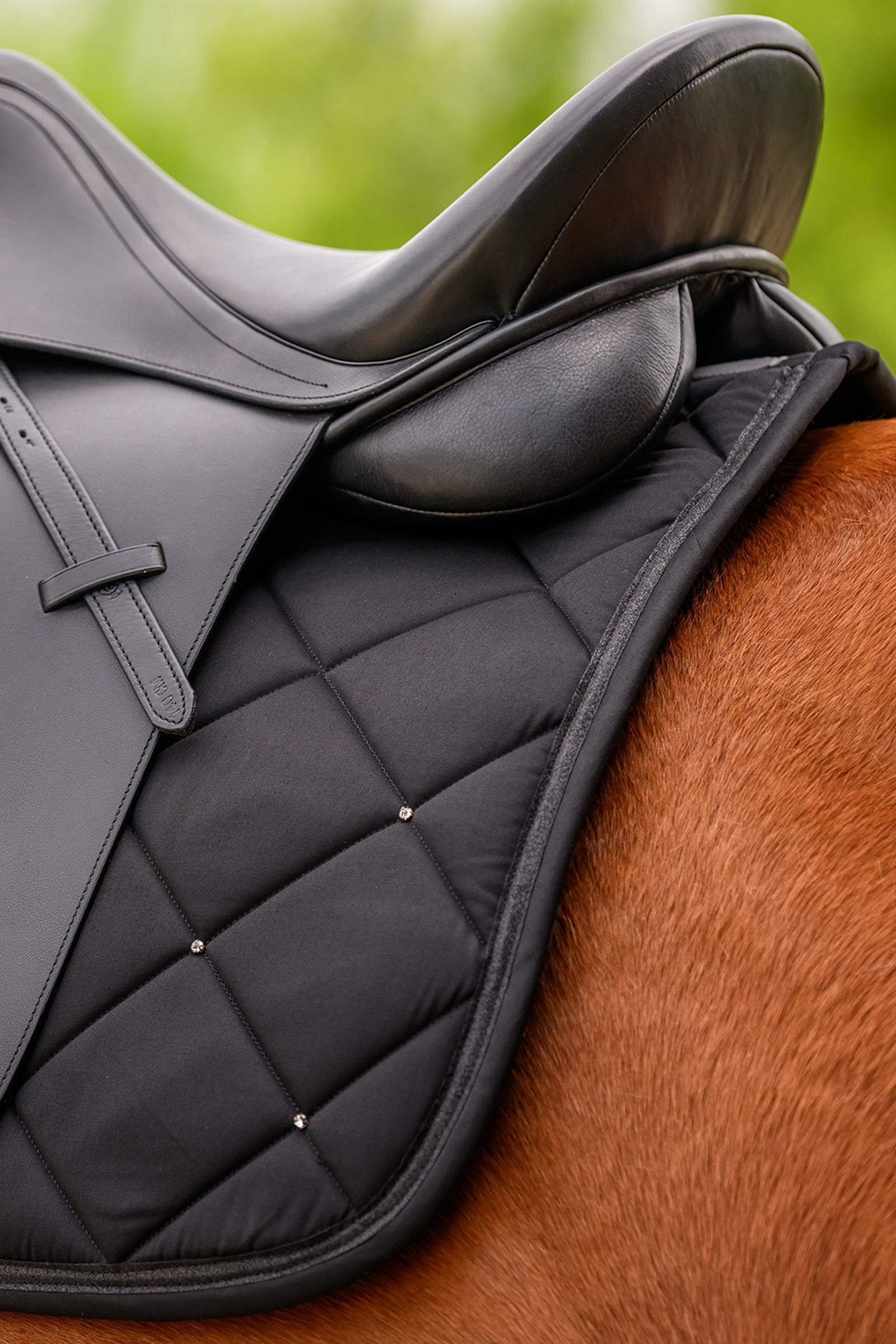 Waldhausen Competition Dressage Pad Saddle Pads