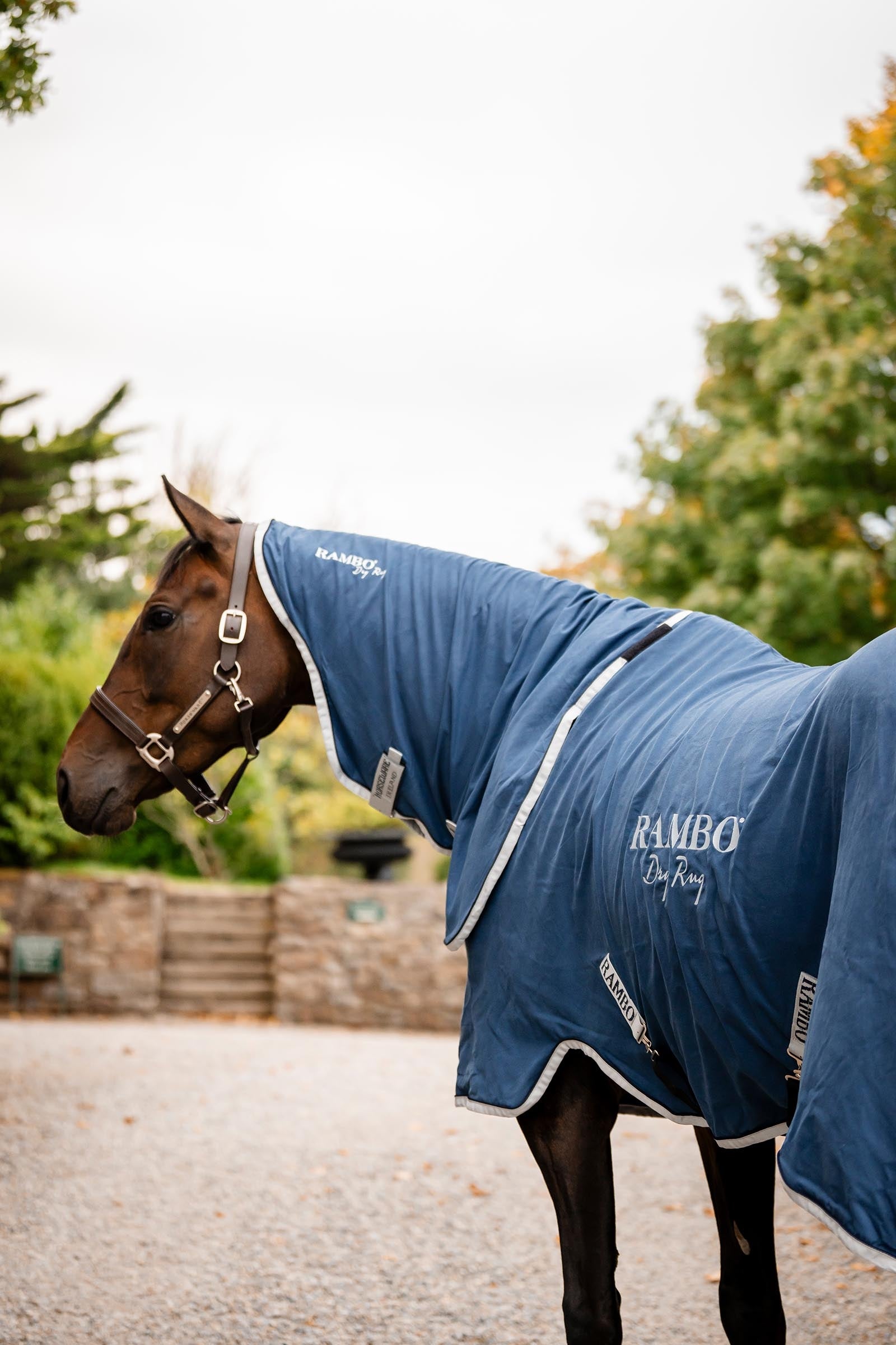 Horseware Rambo Dry Rug Supreme Horse Rugs