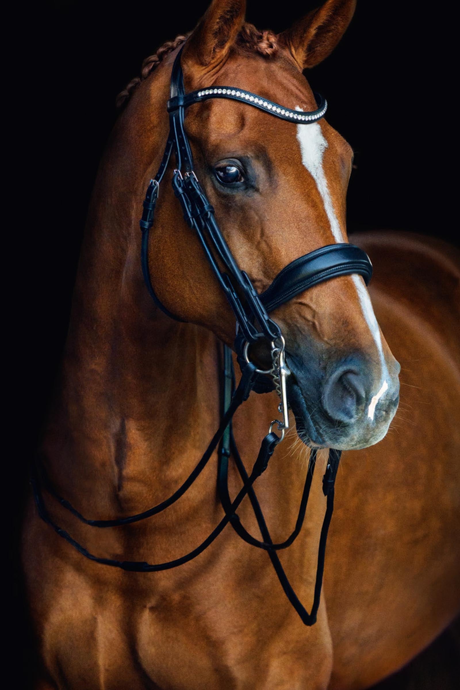 Schockemöhle Sports Venice Double Bridle Bridles & Reins