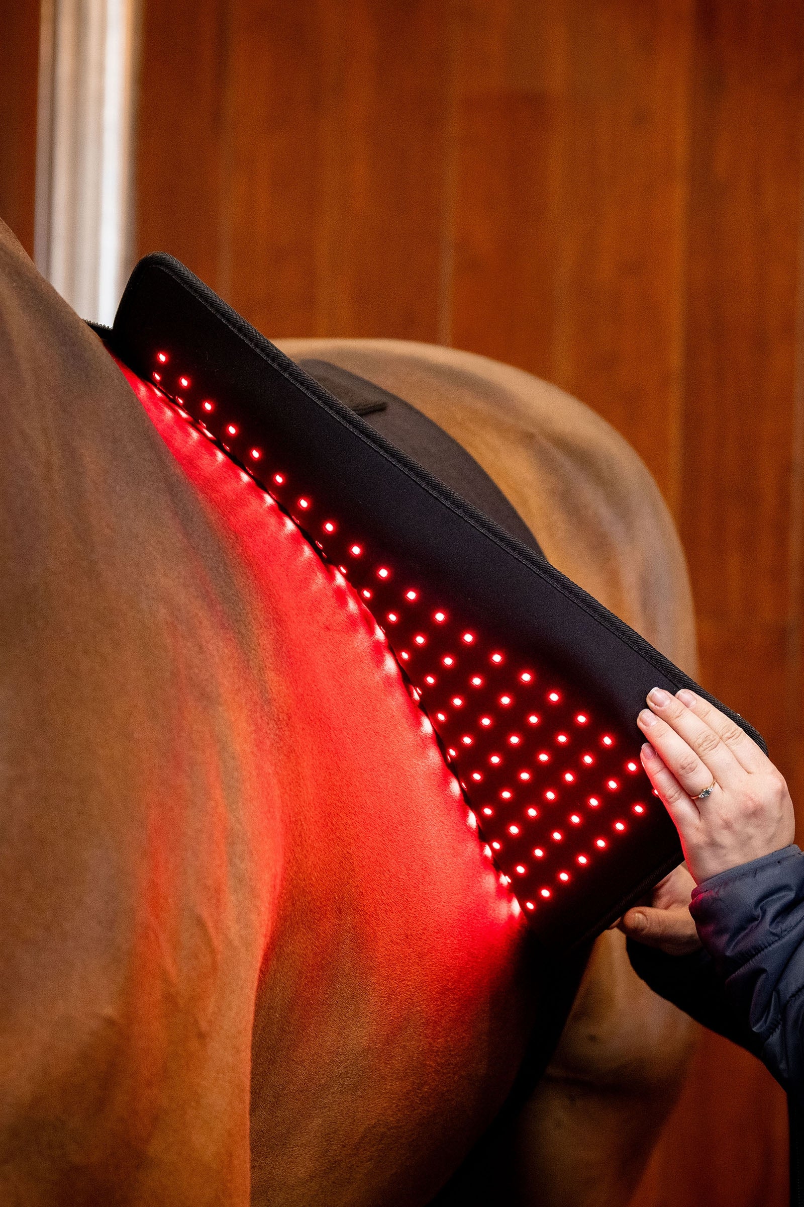 Horseware LED Red Light Therapy Pad Horse Rugs