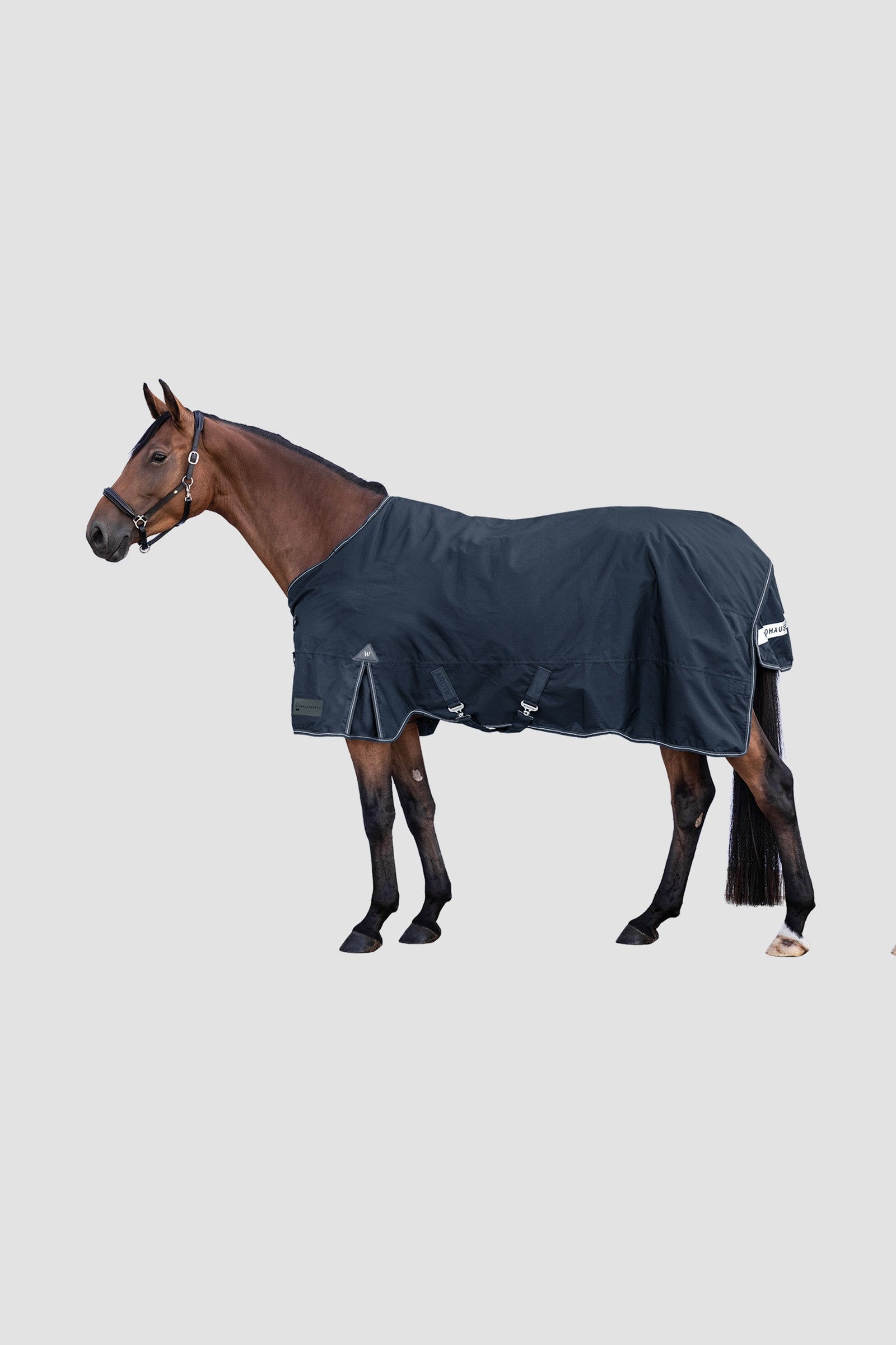 Waldhausen Outdoor Rug Arctic 300 g Pferdedecken