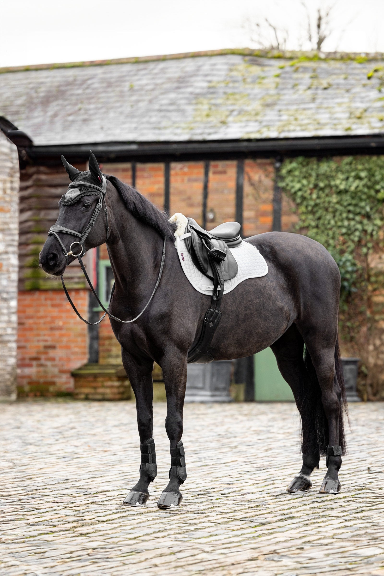 LeMieux Merino+ Pad, half lined, GP Saddle Pads