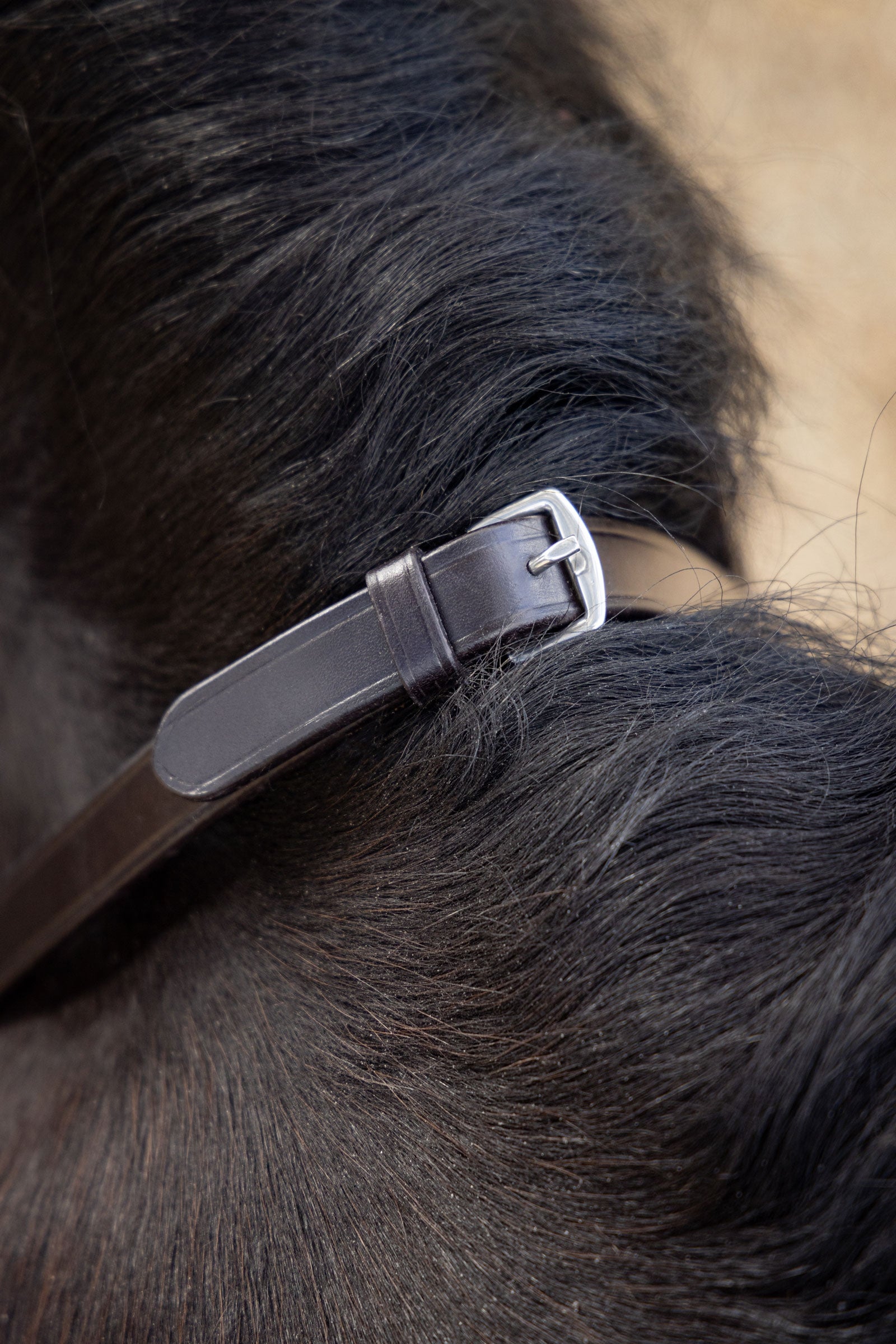 LeMieux Magna Grip Rubber Reins Bridles & Reins