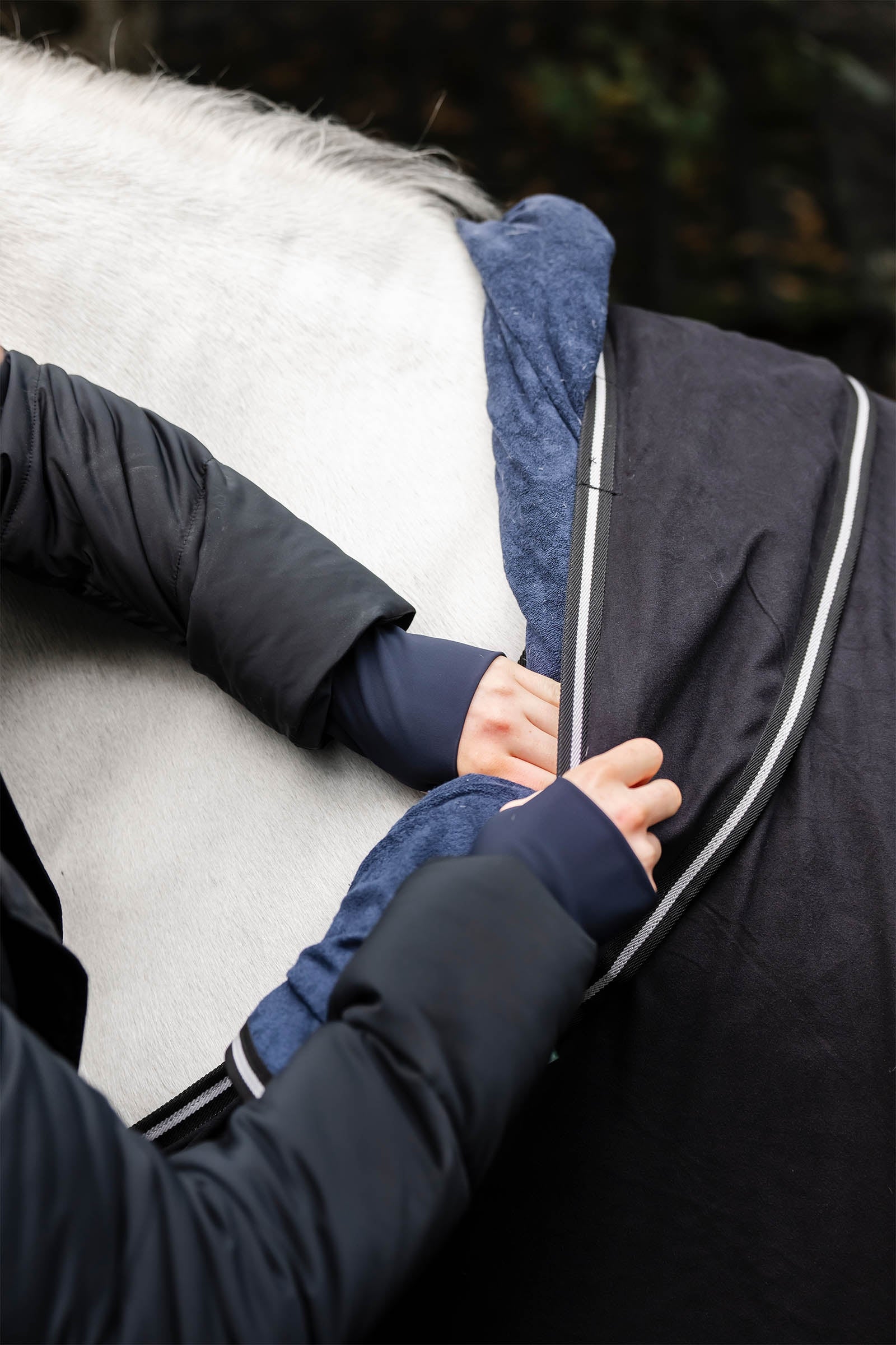 Horseware Show Ready Rug Horse Rugs