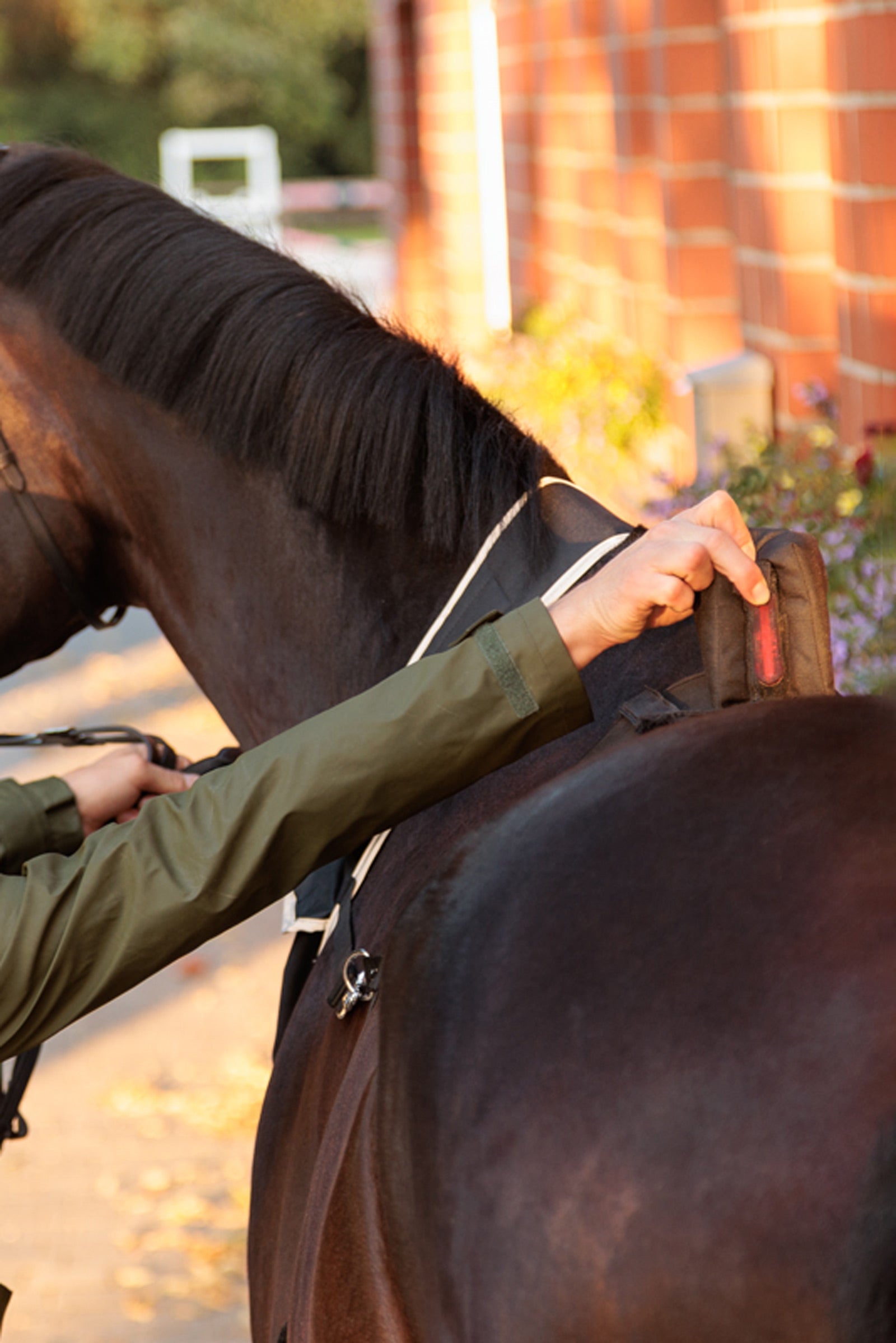 Kavalkade Horselight Belly Surcingle With Red Rear Light Reflective