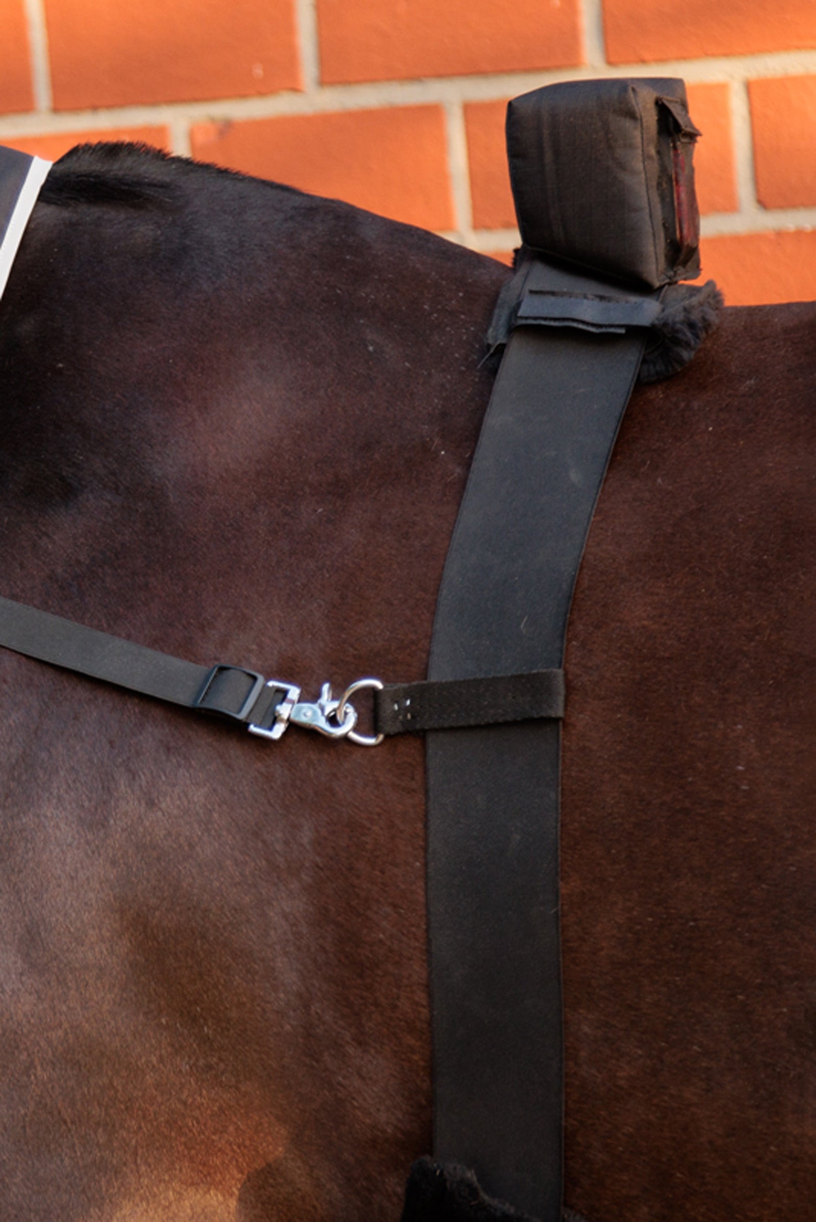Kavalkade Horselight Belly Surcingle With Red Rear Light Reflective