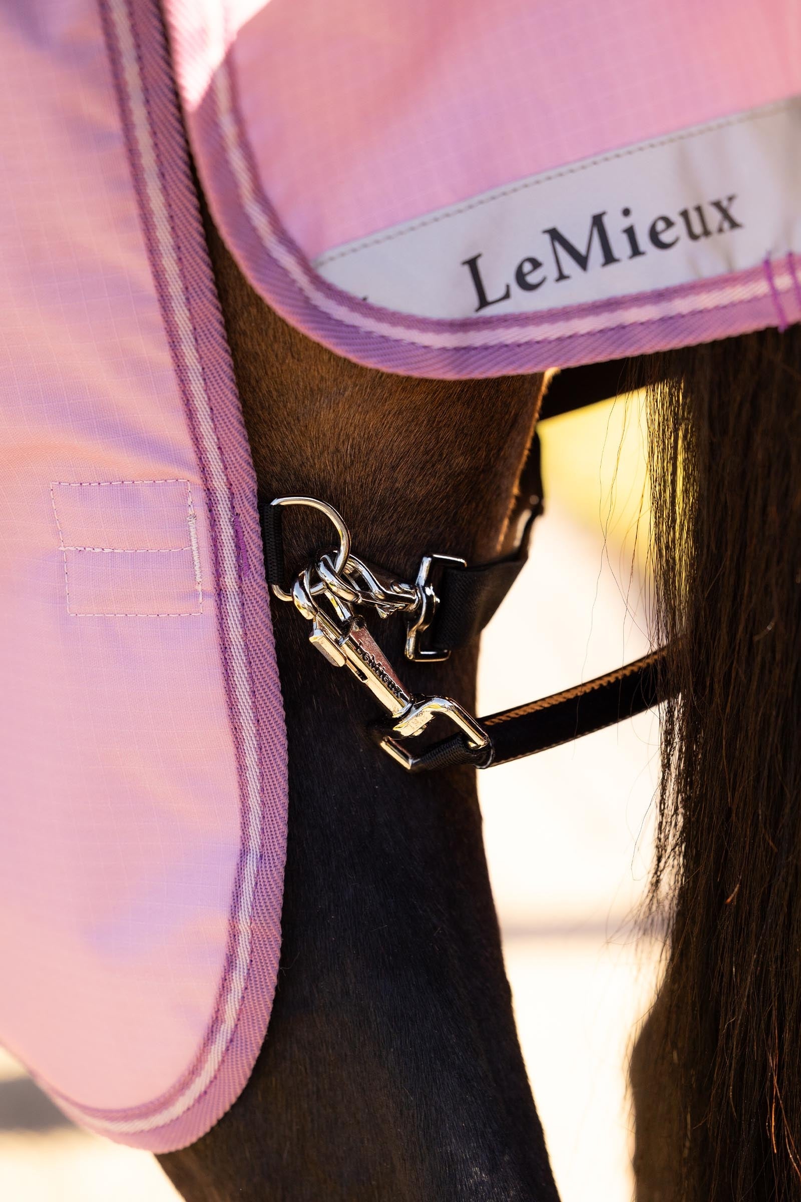 LeMieux Arika Ripstop Turnout Rug With Detachable Neck, 50g Horse Rugs
