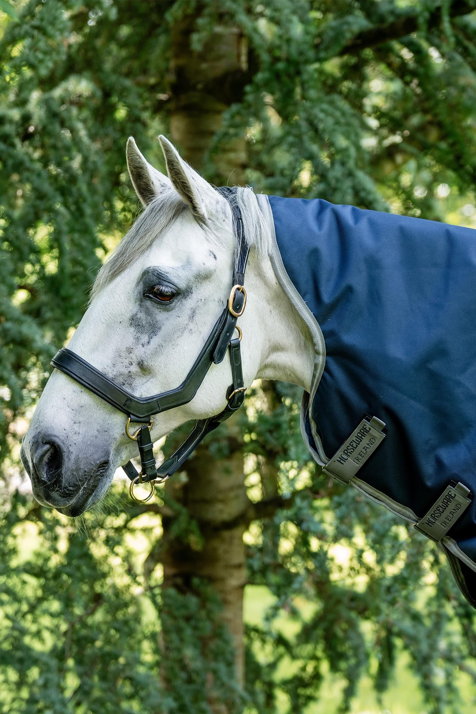 Horseware Amigo Bravo 12 Hood 150g Horse Rugs