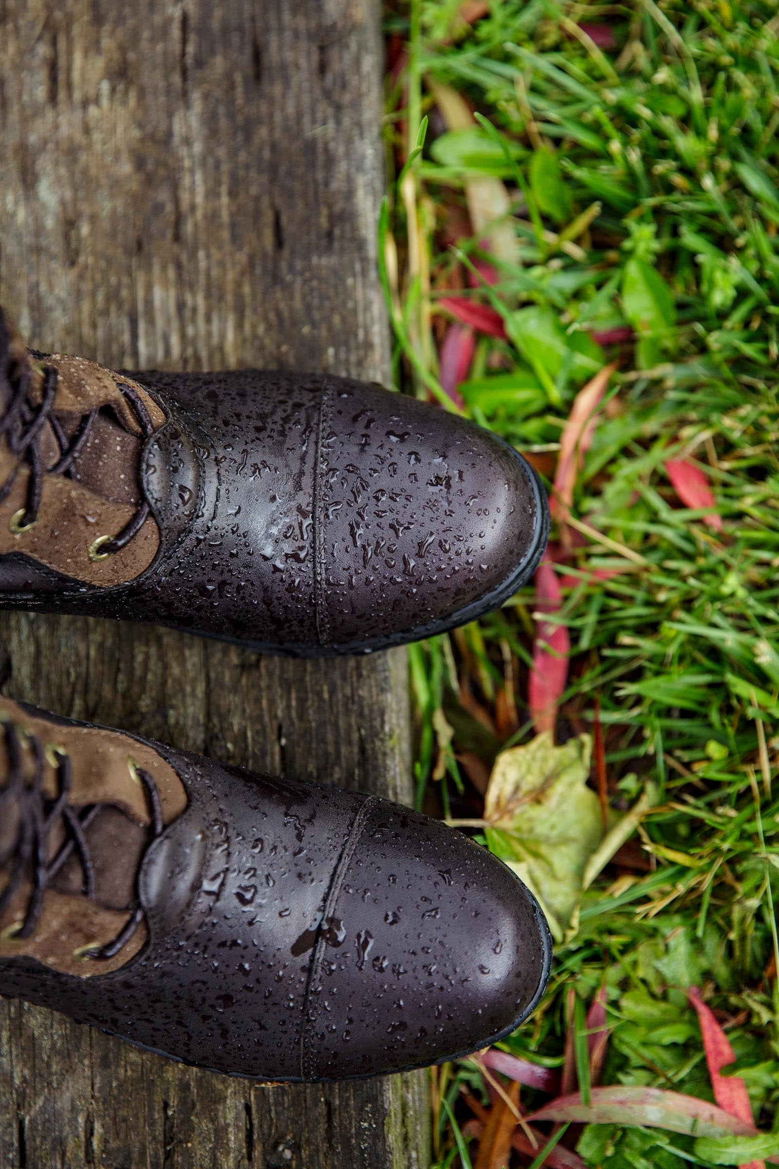 Ariat Coniston Max Waterproof Insulated Womens's Boots Riding Boots & Riding Shoes