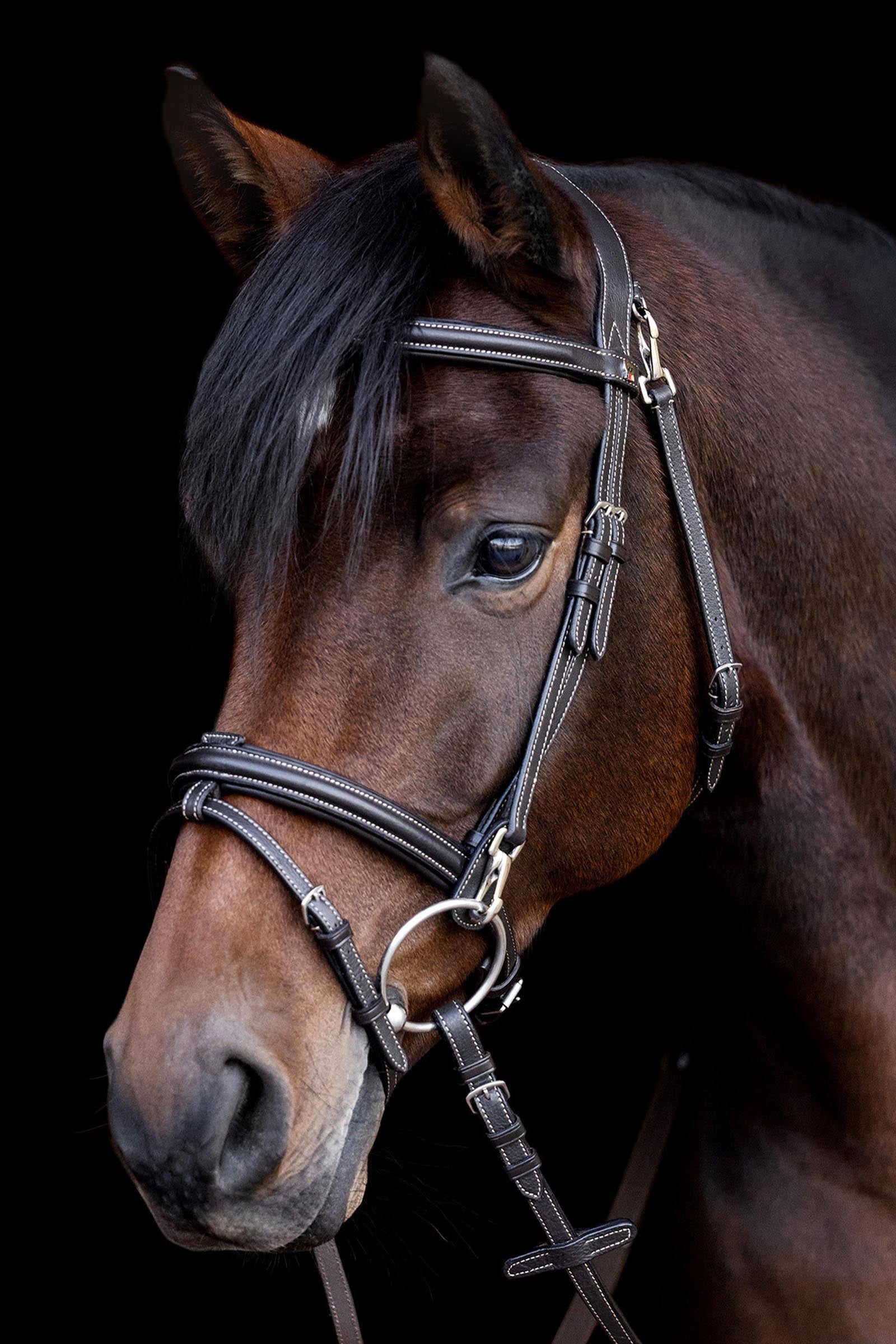 Waldhausen Work X-Line Snaffle Bridle Bridles & Reins