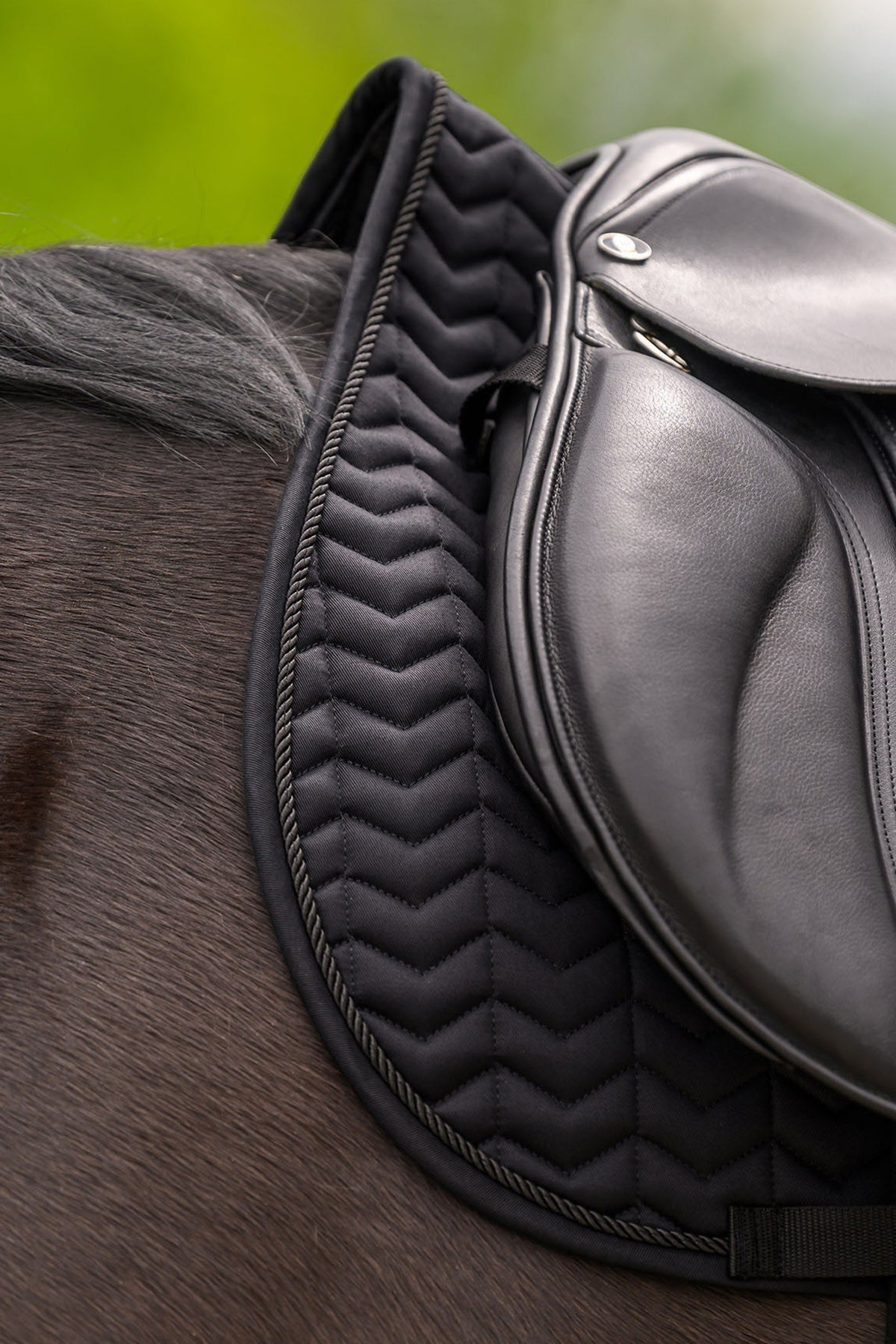 Waldhausen Classic All Purpose Saddle Pad Saddle Pads