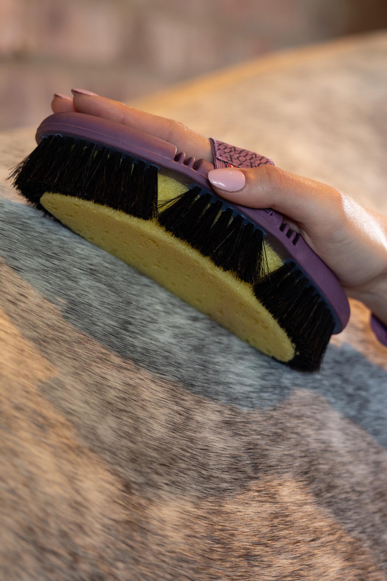 LeMieux Flexi Sponge Brush Horse Grooming Tools