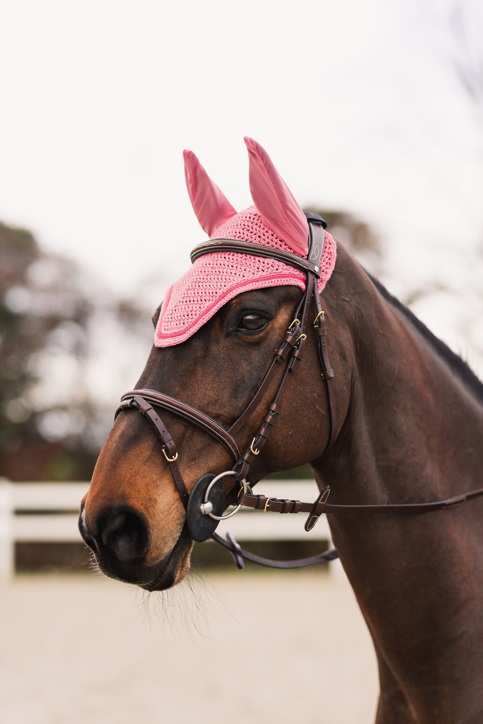 Horze Rose Tonique Fly Hood Antifly Protection for Horses