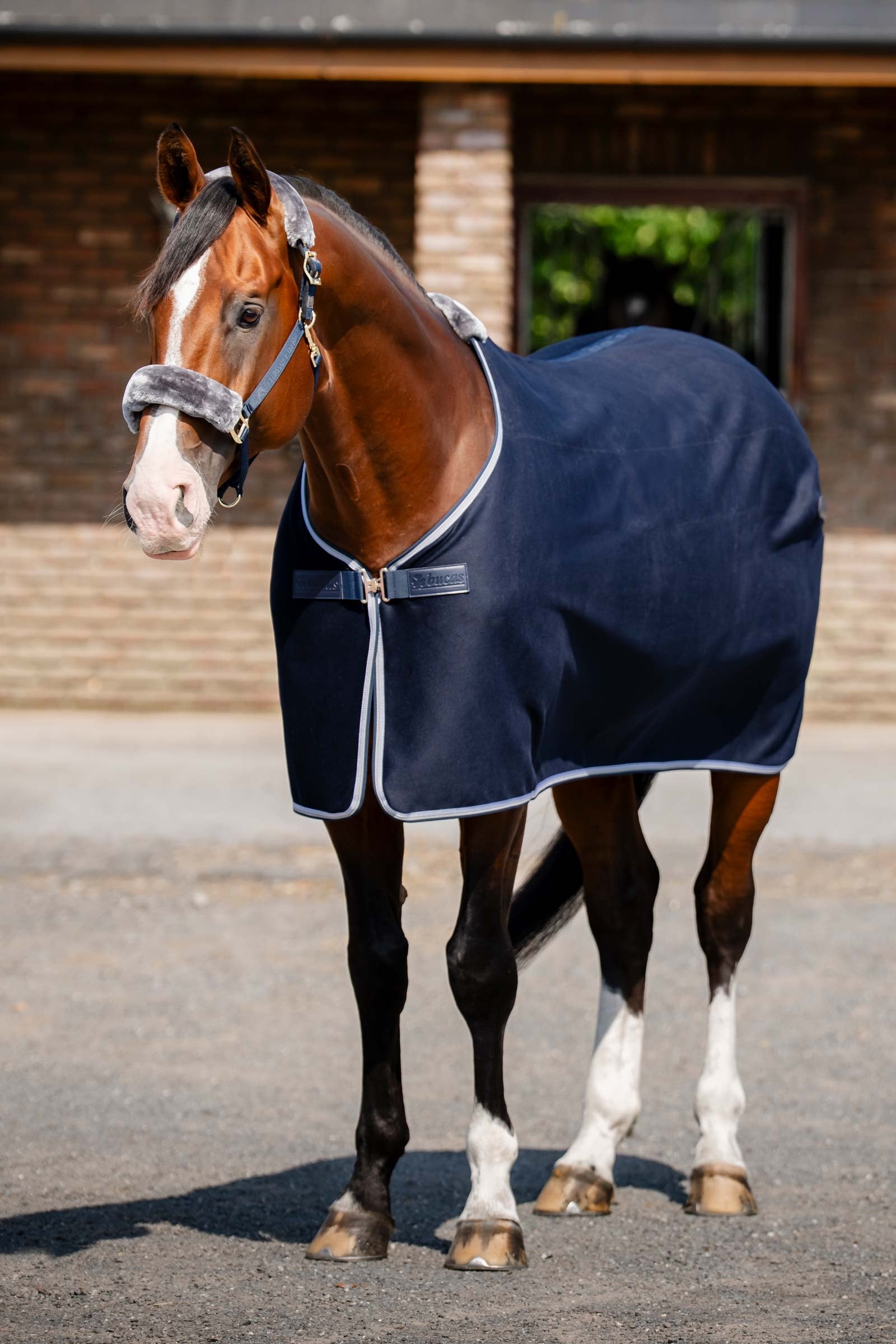 Bucas Emerald Wool Rug Pferdedecken